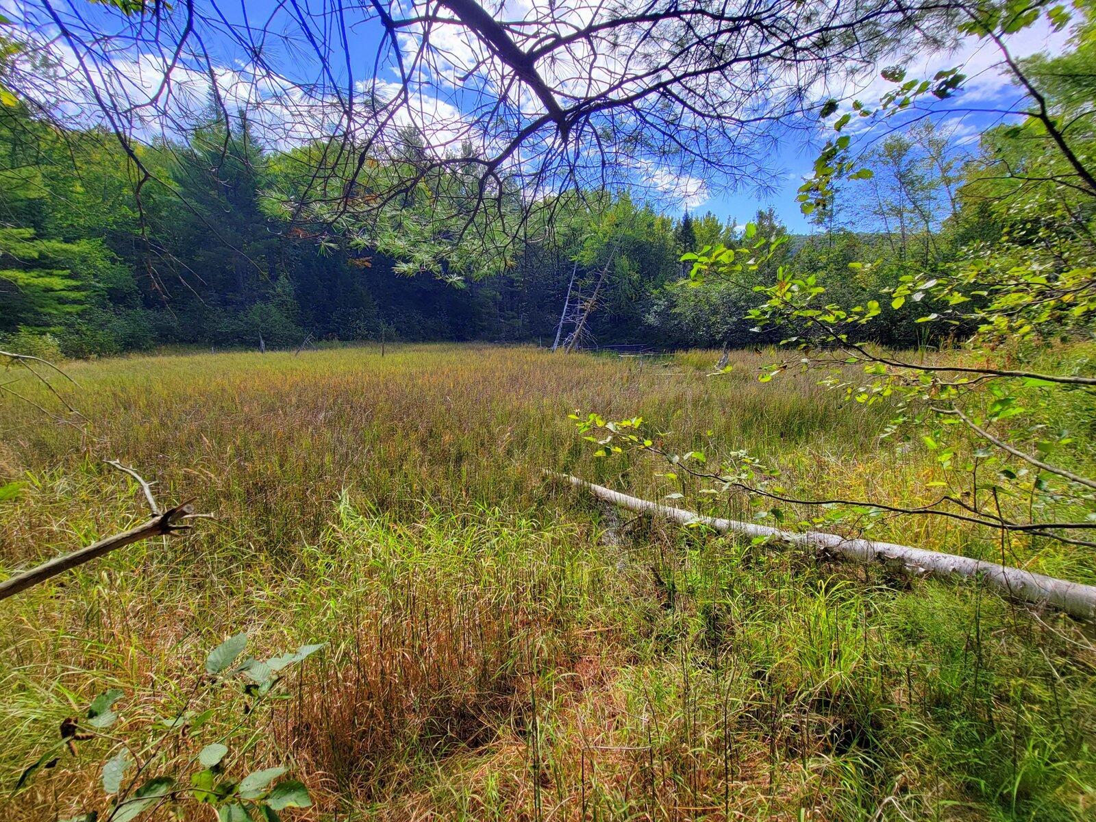 main property photo 69