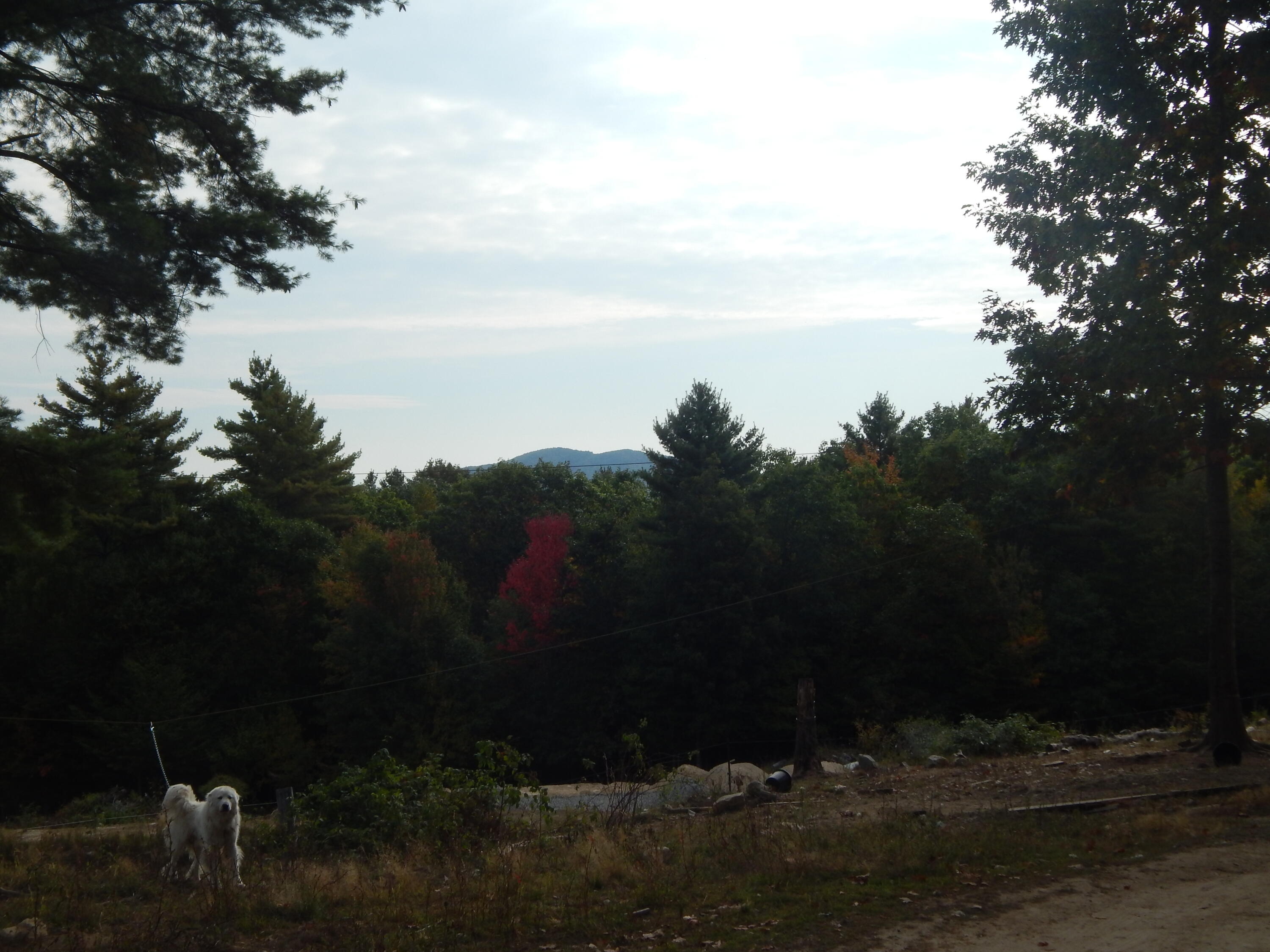 main property photo 31