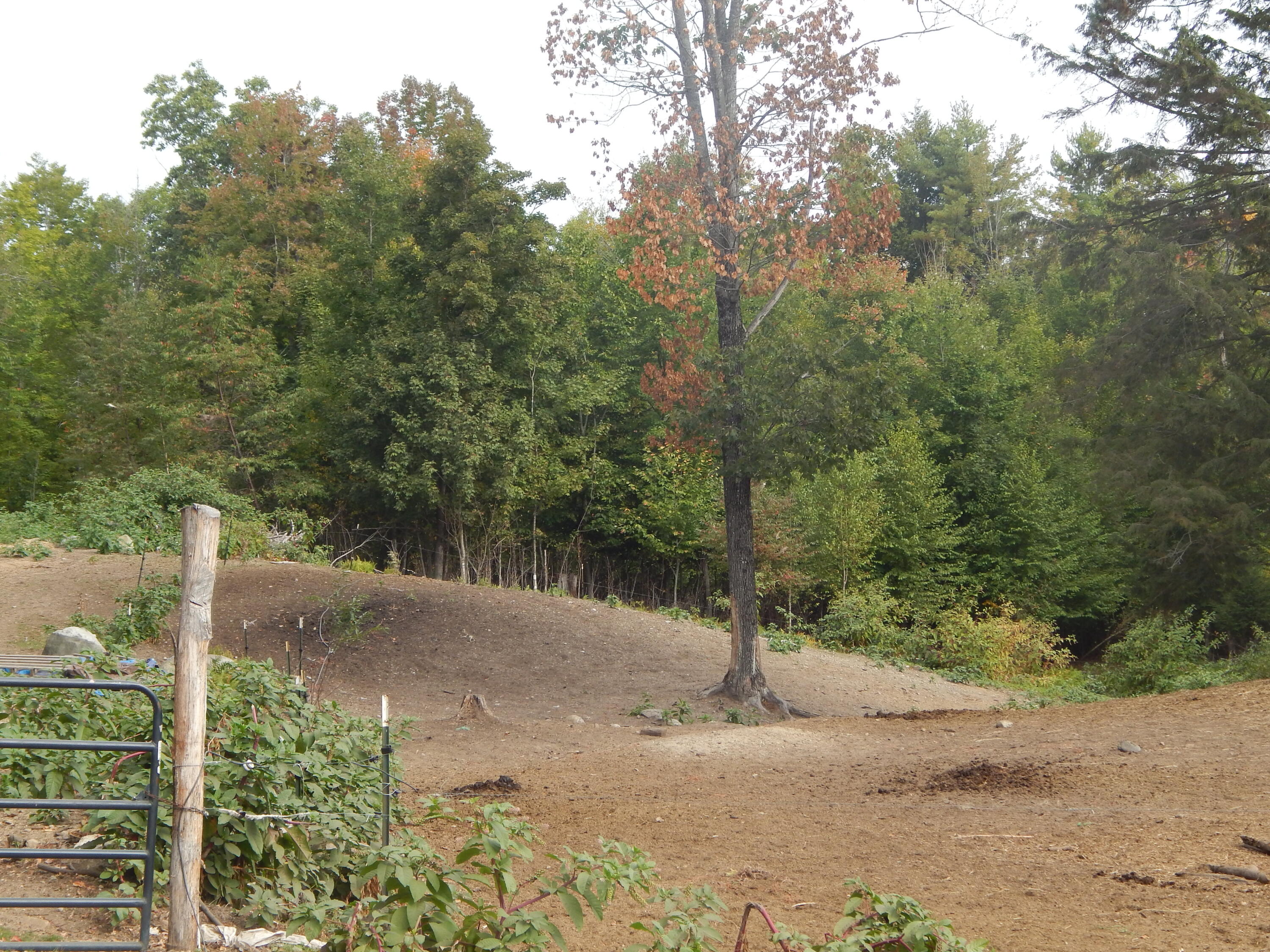 main property photo 35