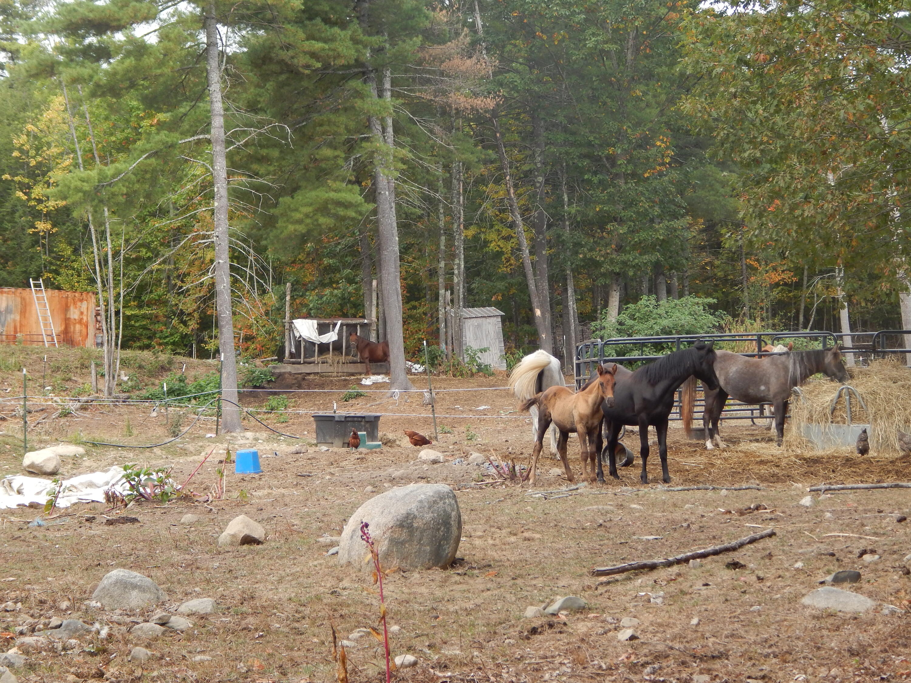 main property photo 36