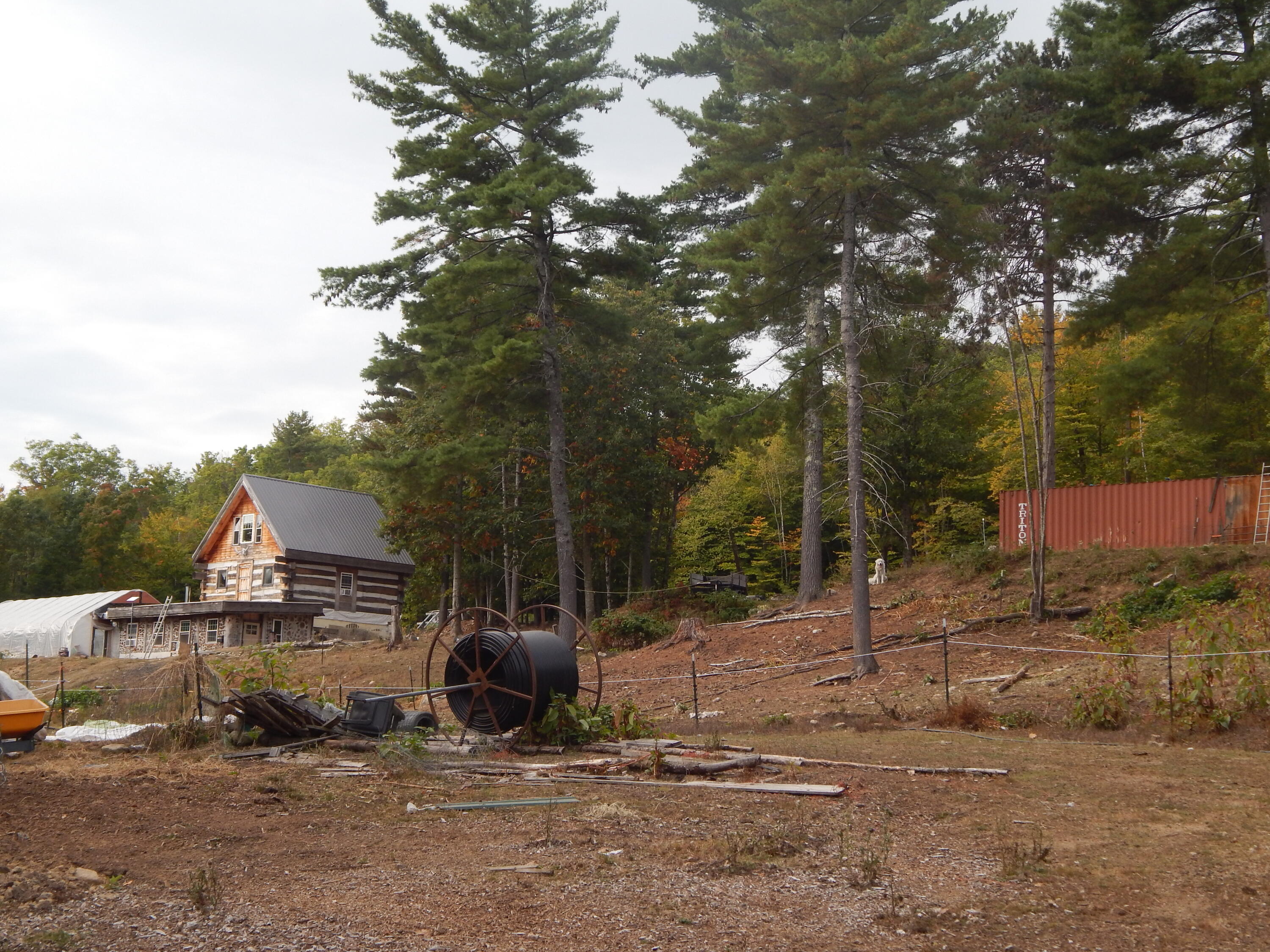 main property photo 4