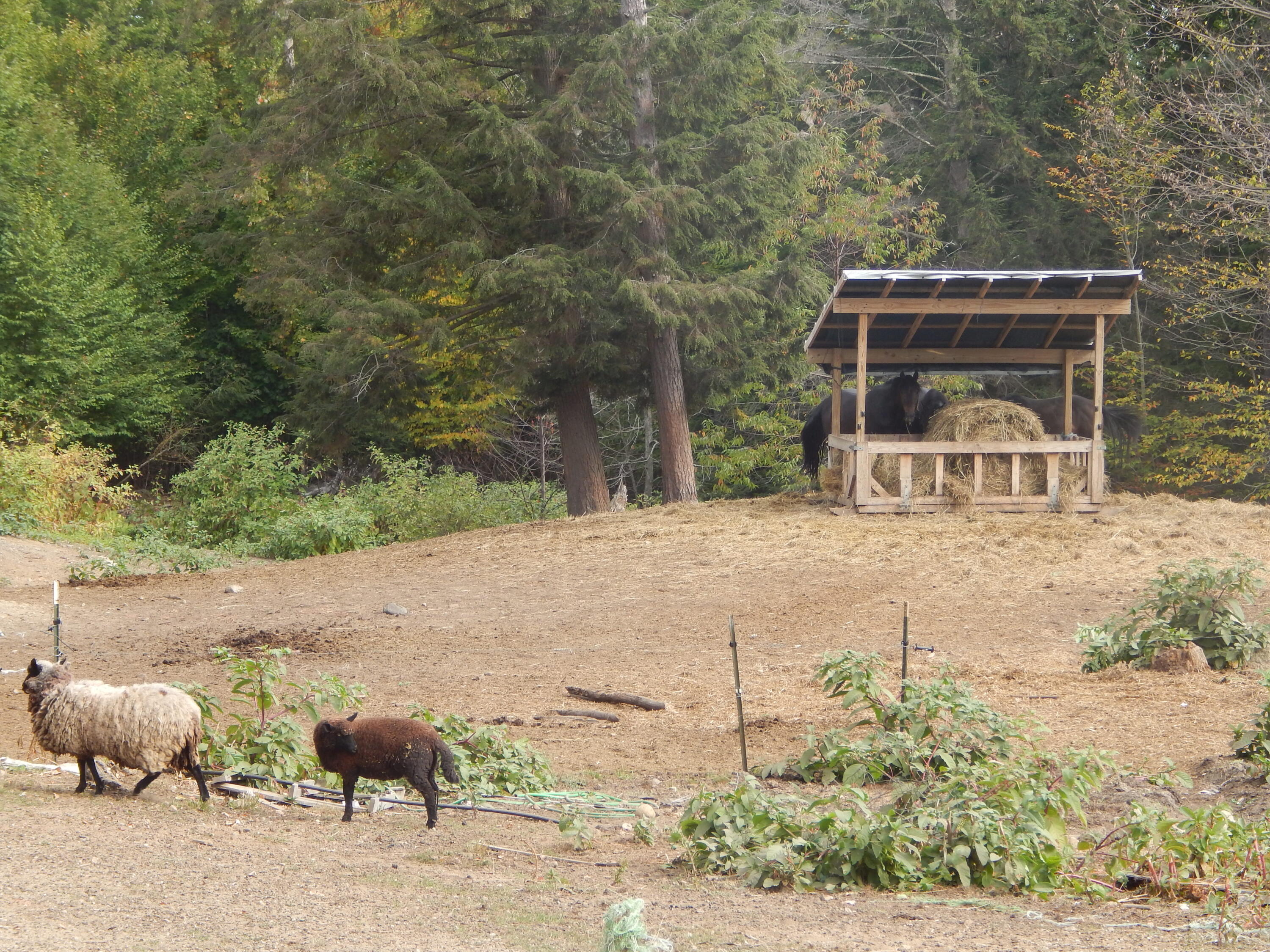 main property photo 6