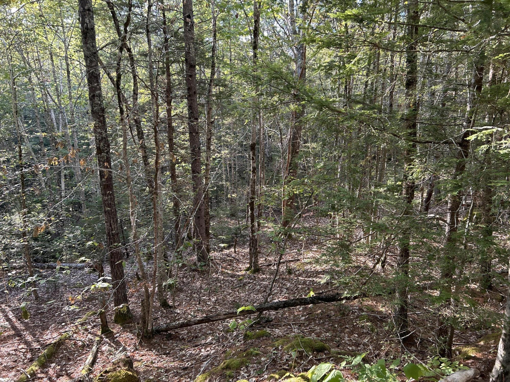 main property photo 13