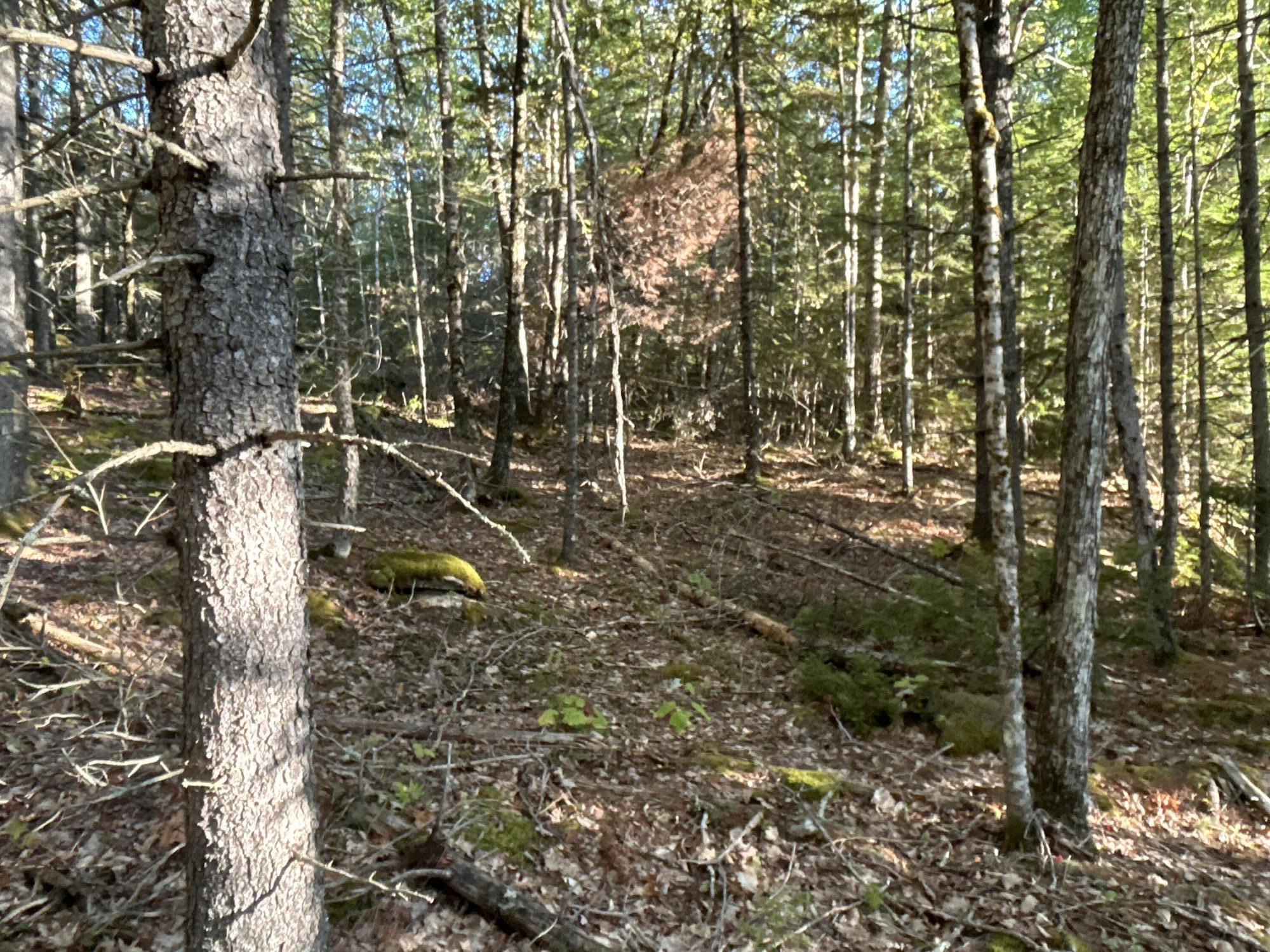 main property photo 24
