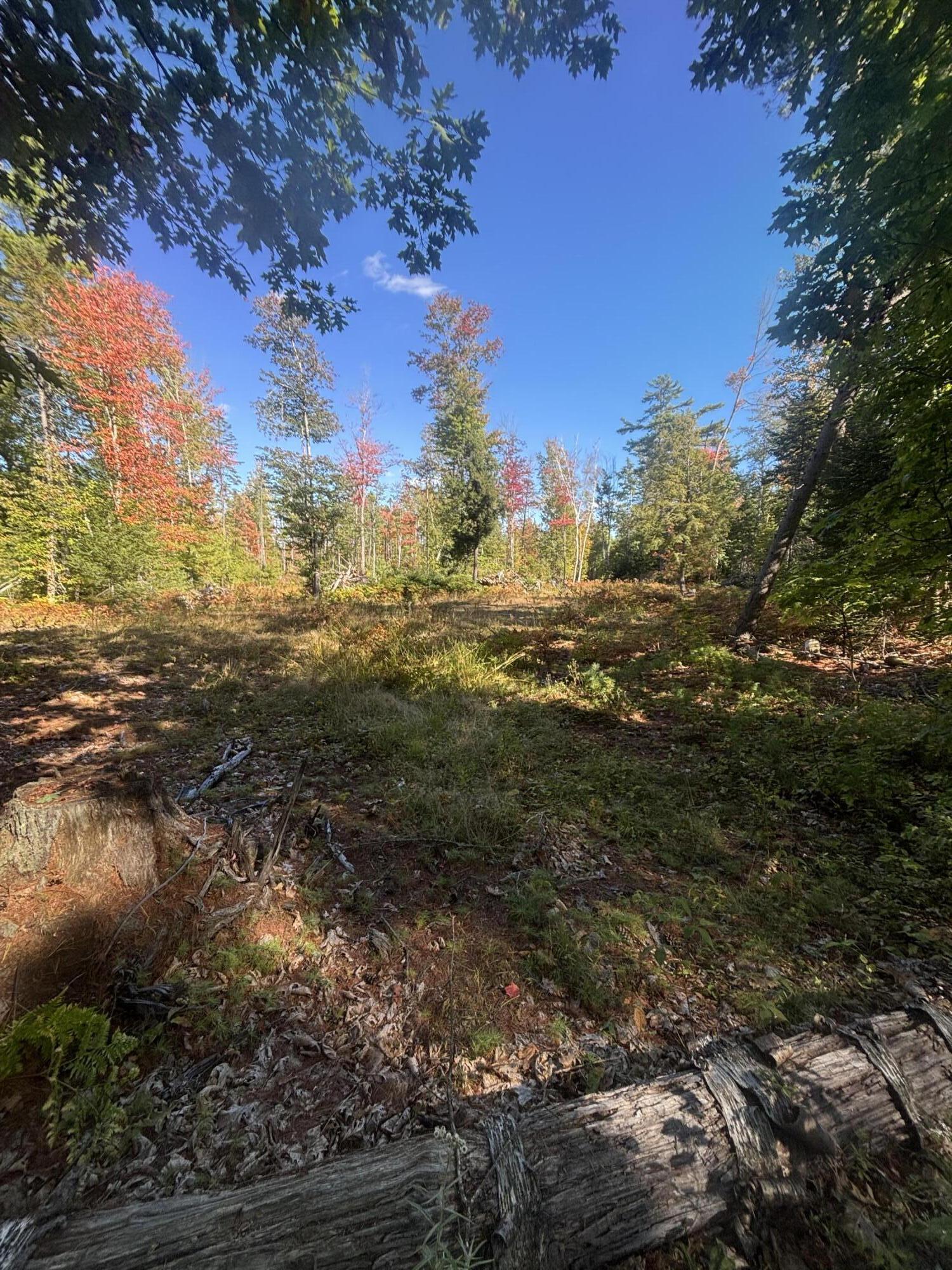 property viewer photo 1