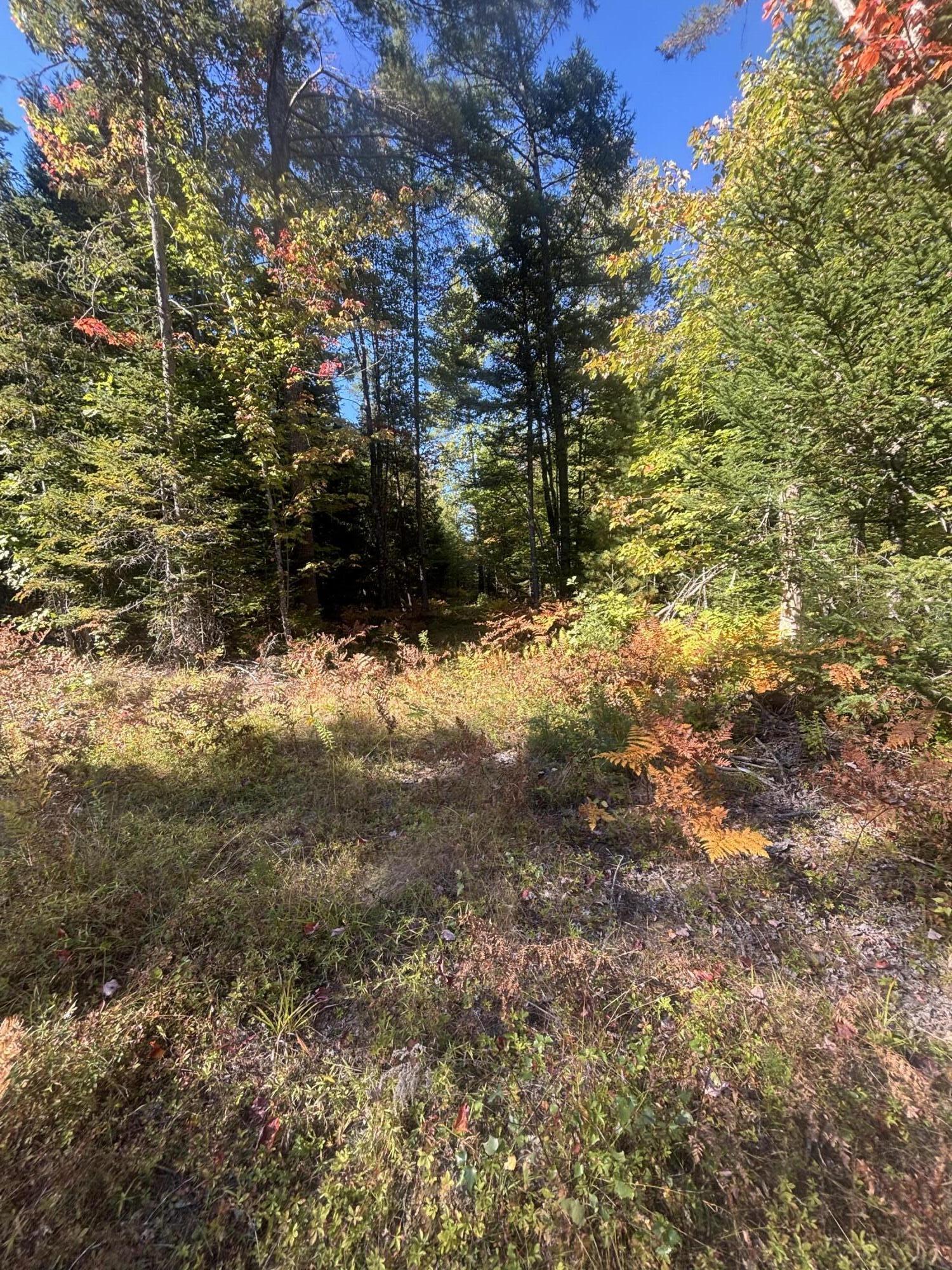 property viewer photo 2
