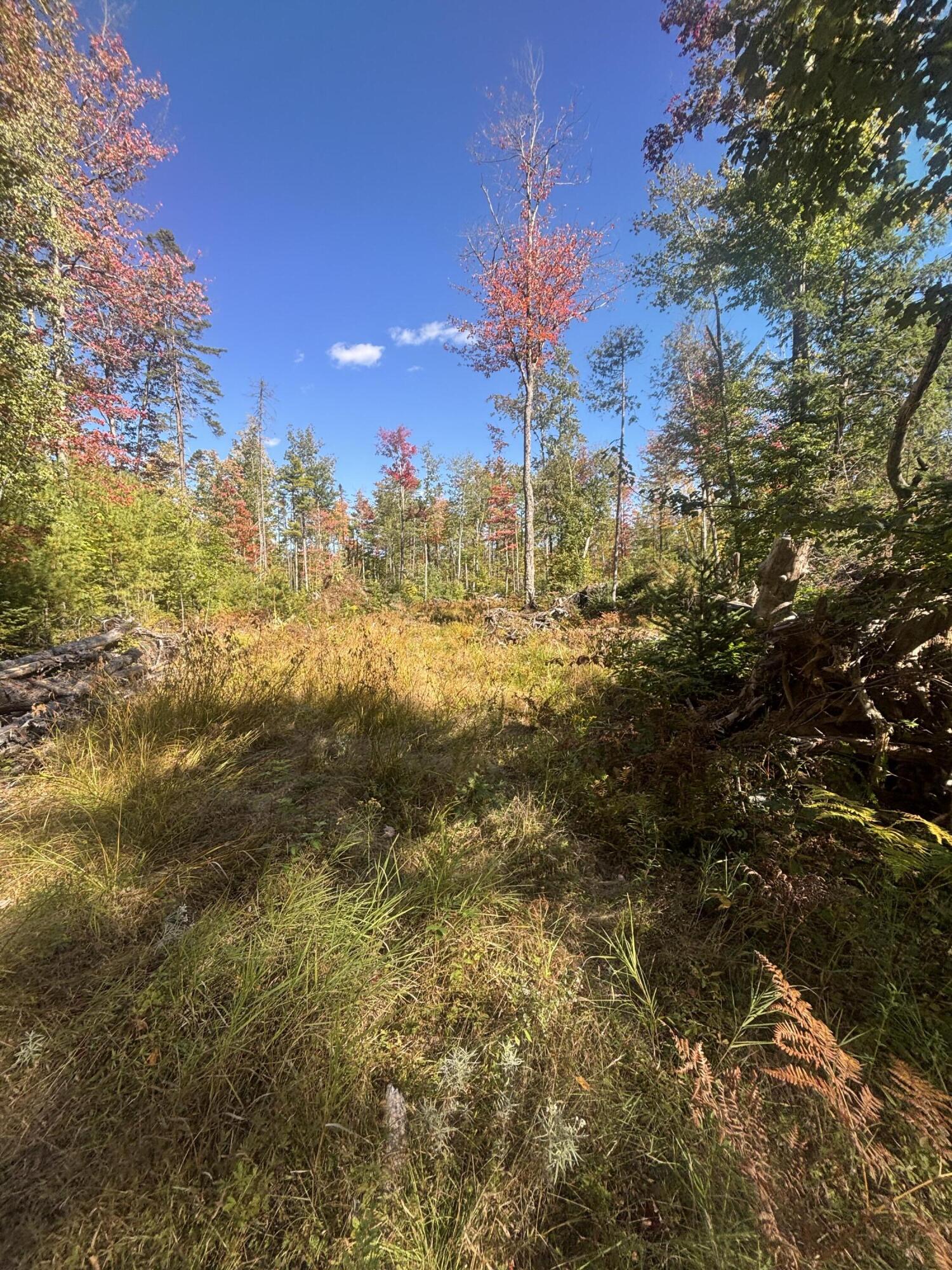 property viewer photo 3