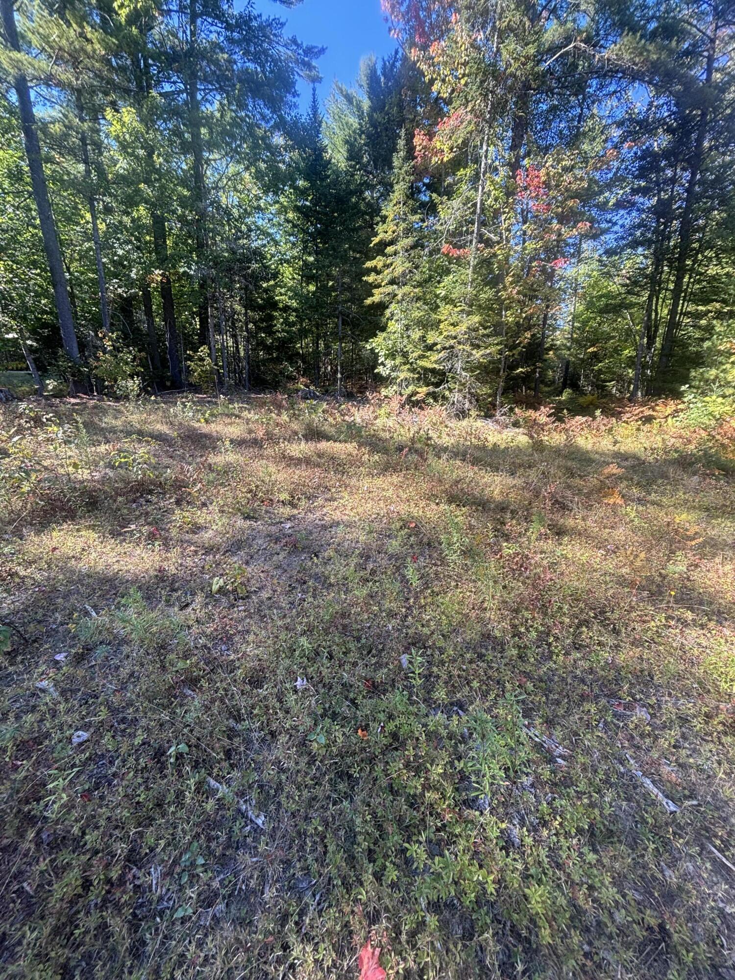 property viewer photo 4