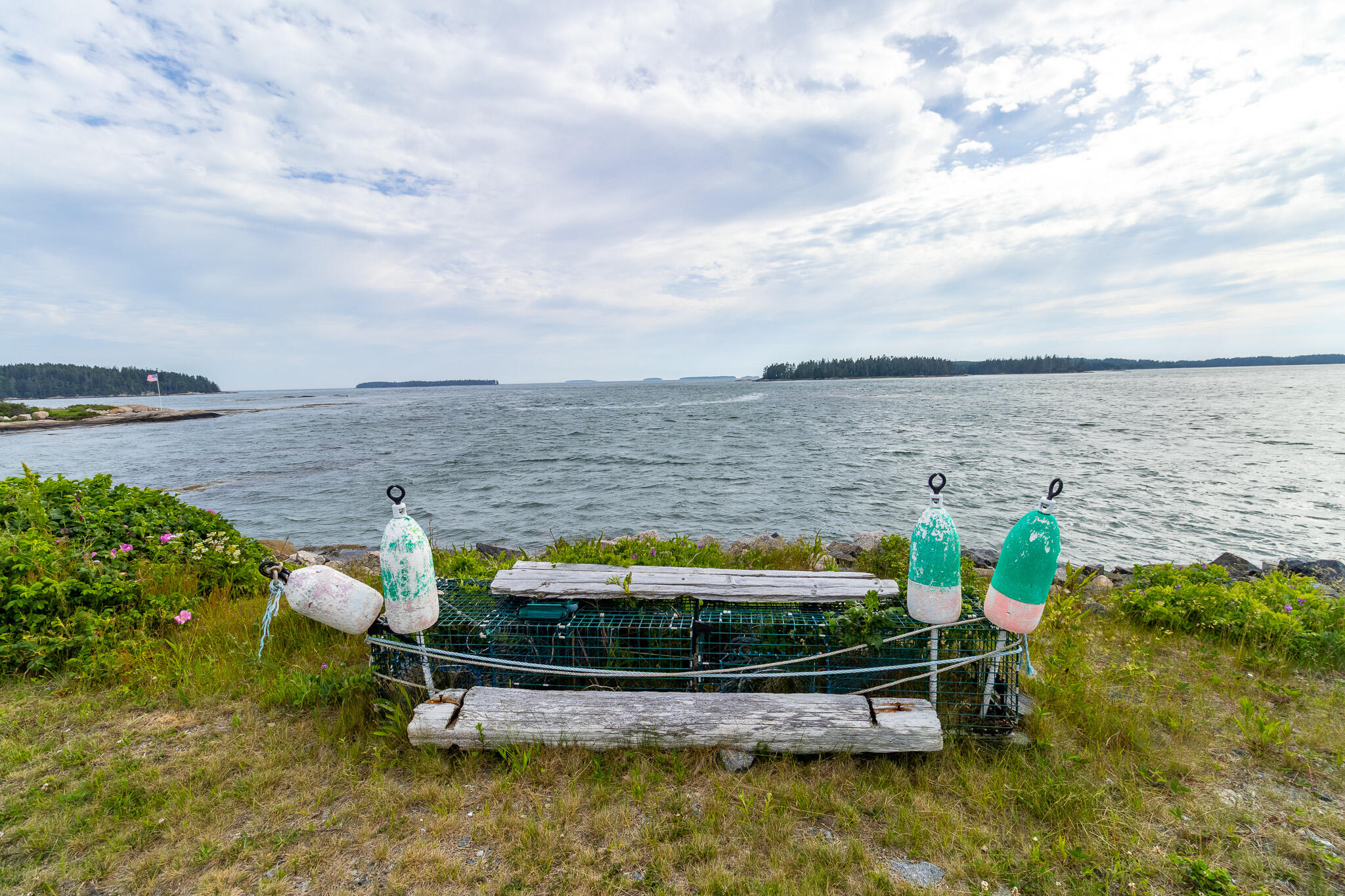 main property photo 54