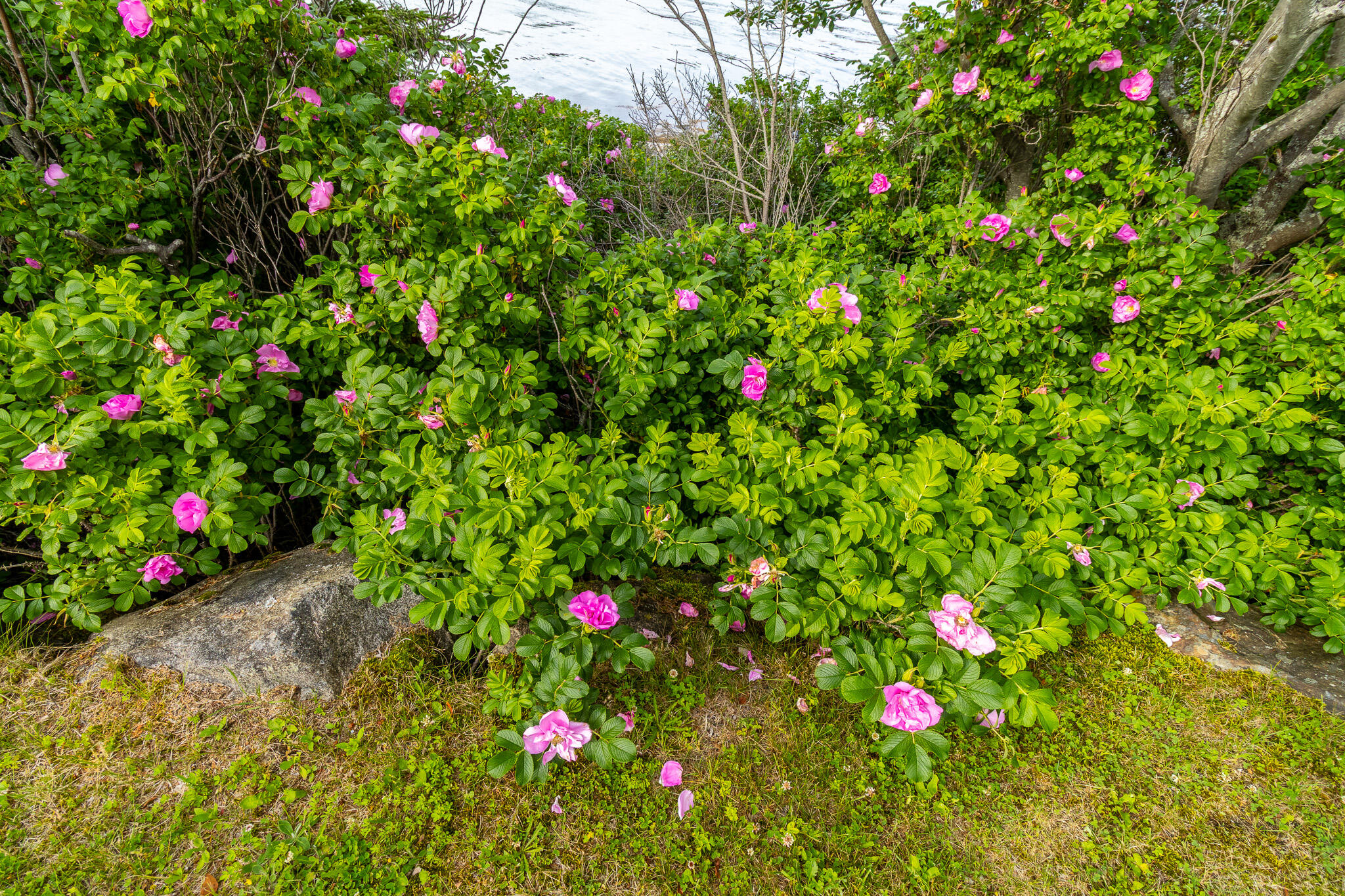 main property photo 59