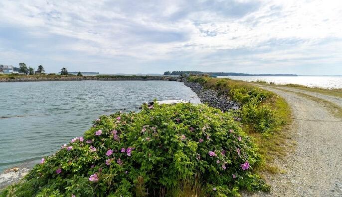 main property photo 93
