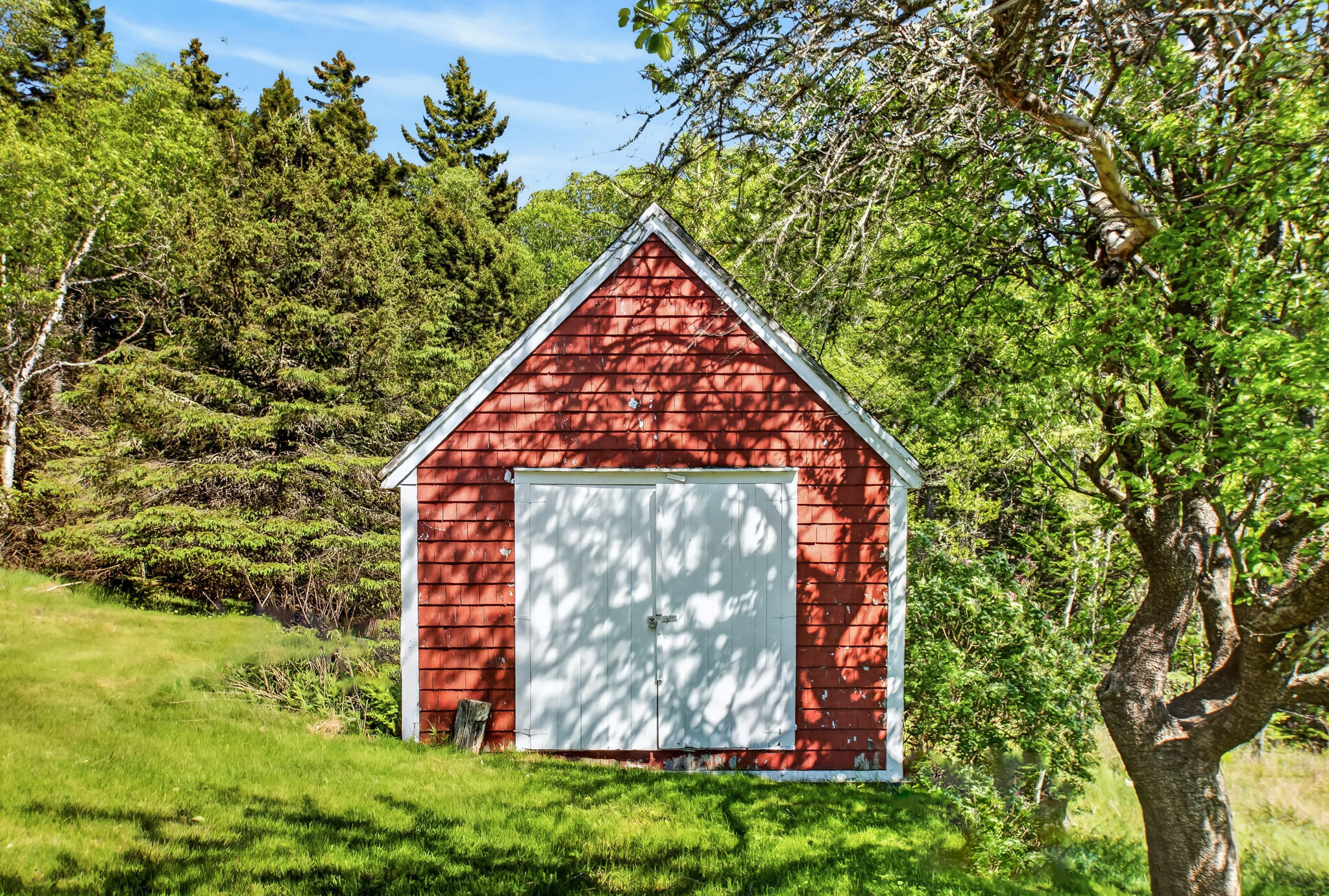 main property photo 10