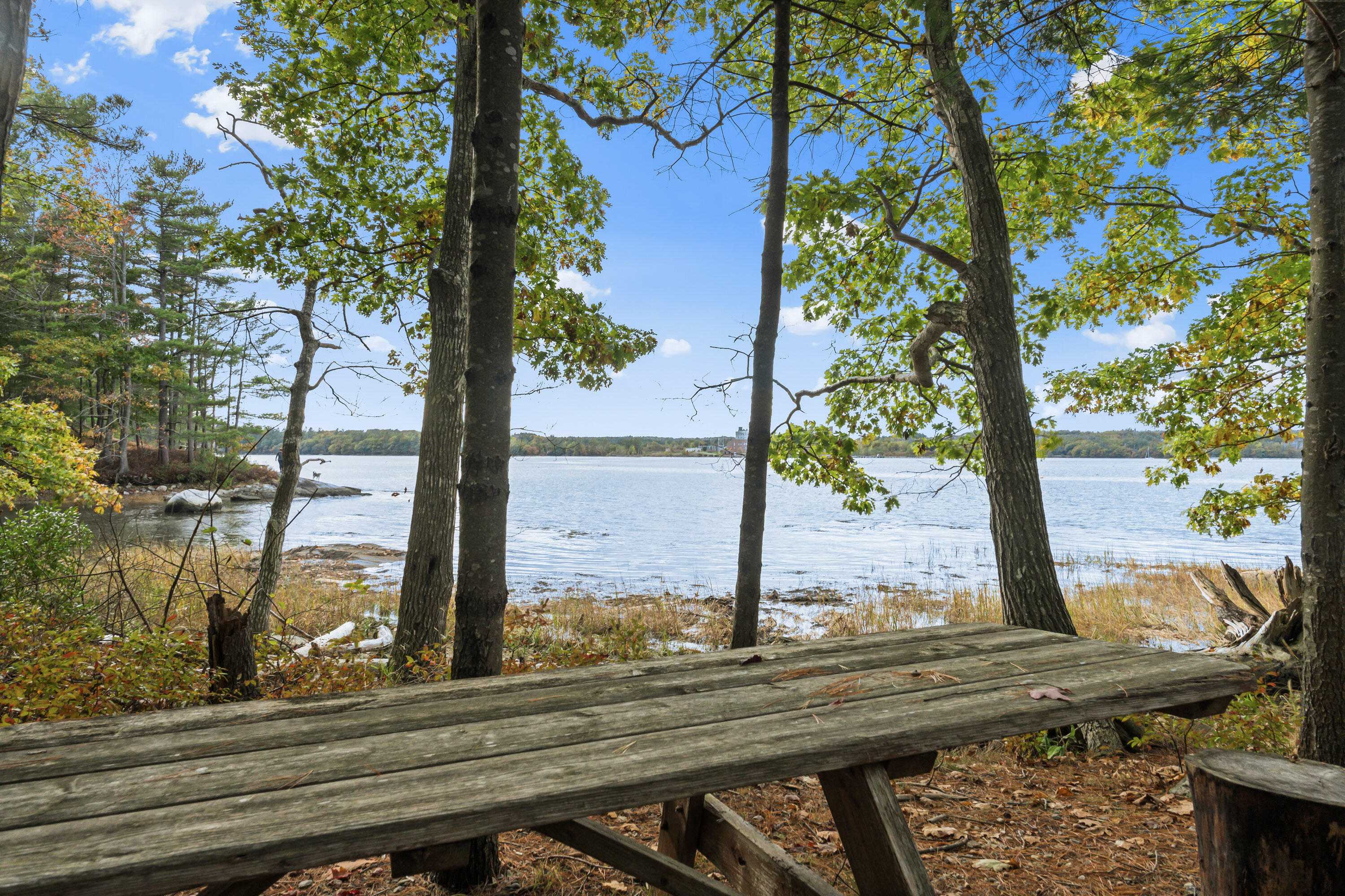 main property photo 61