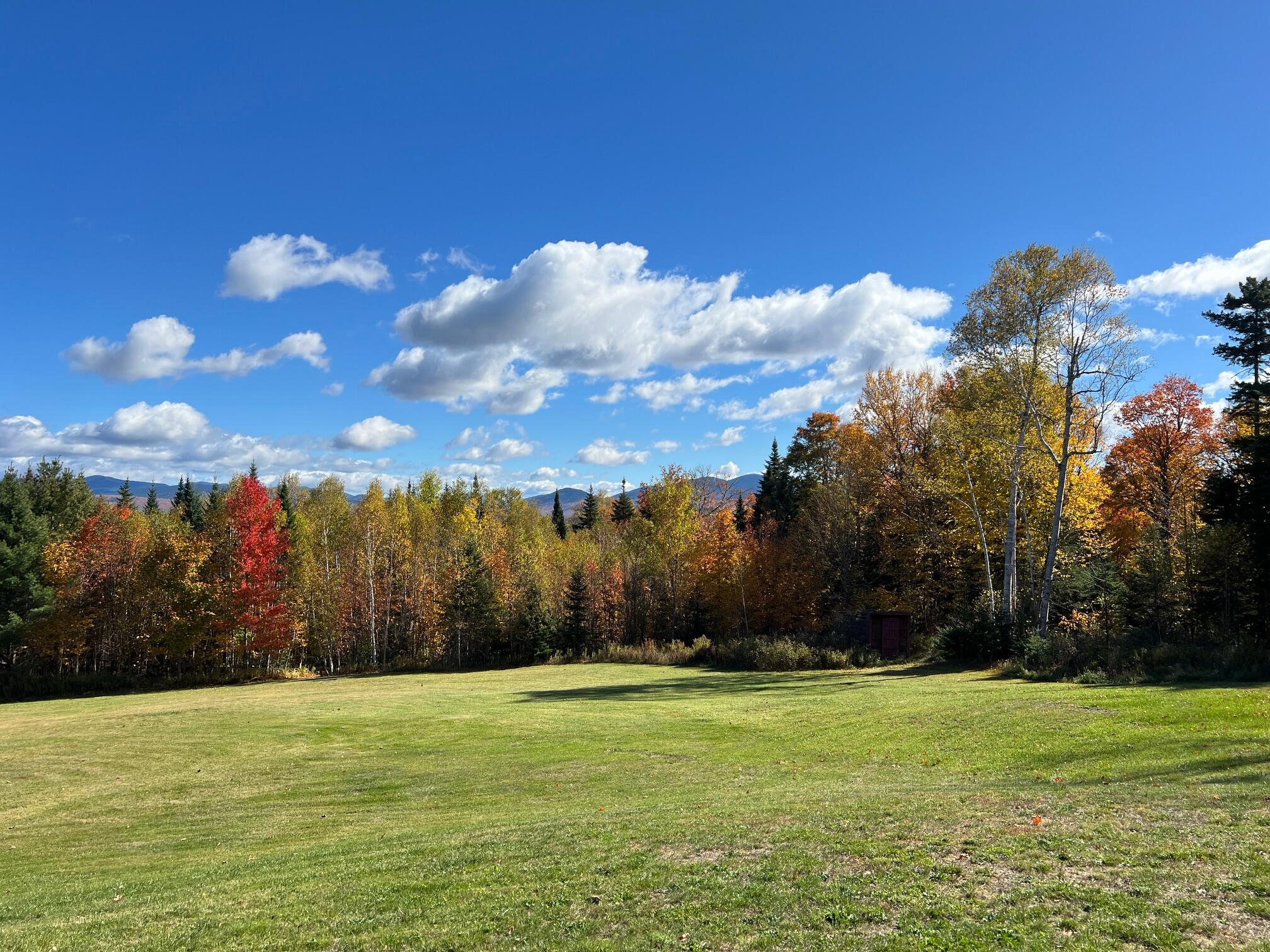 main property photo 62