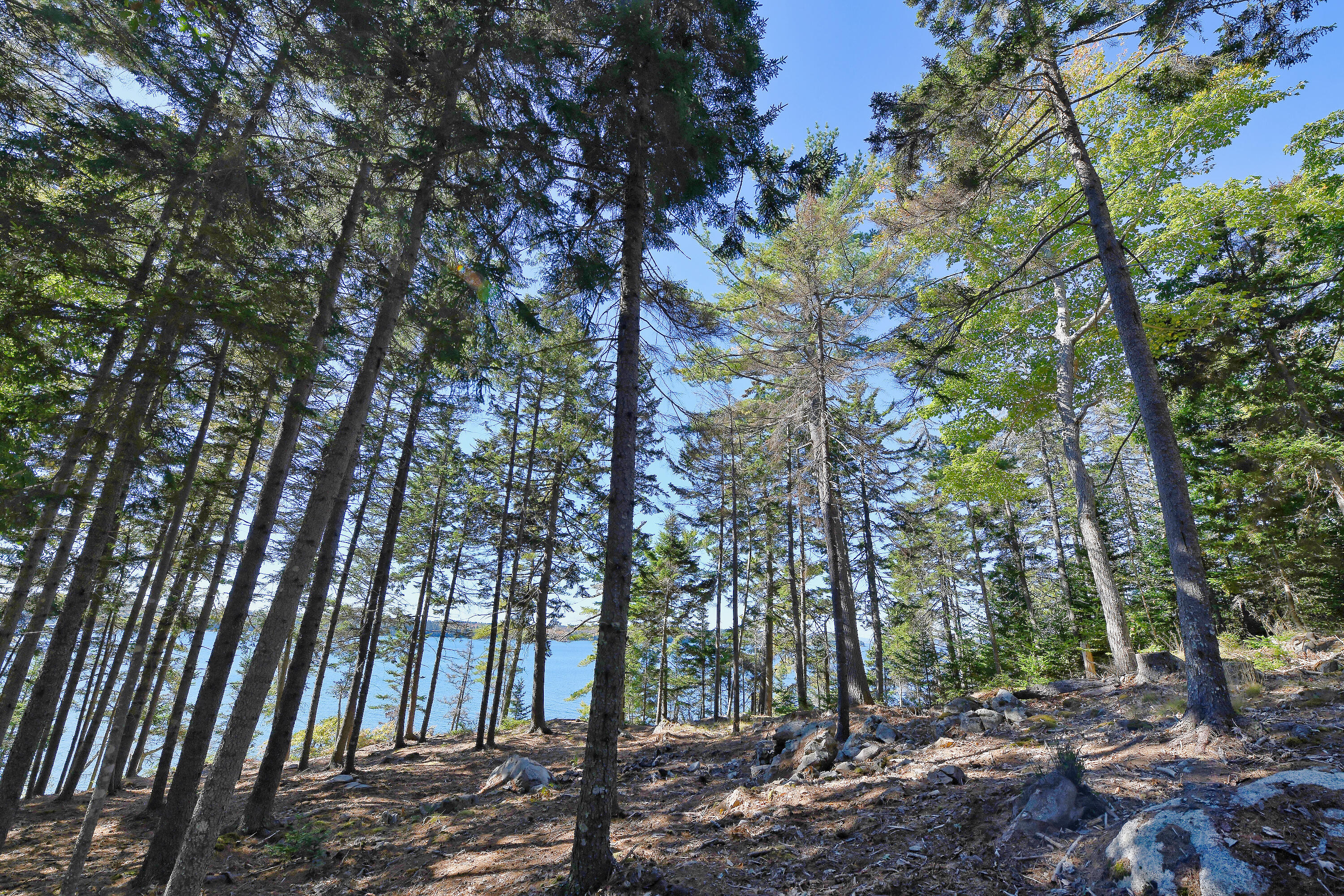 main property photo 11