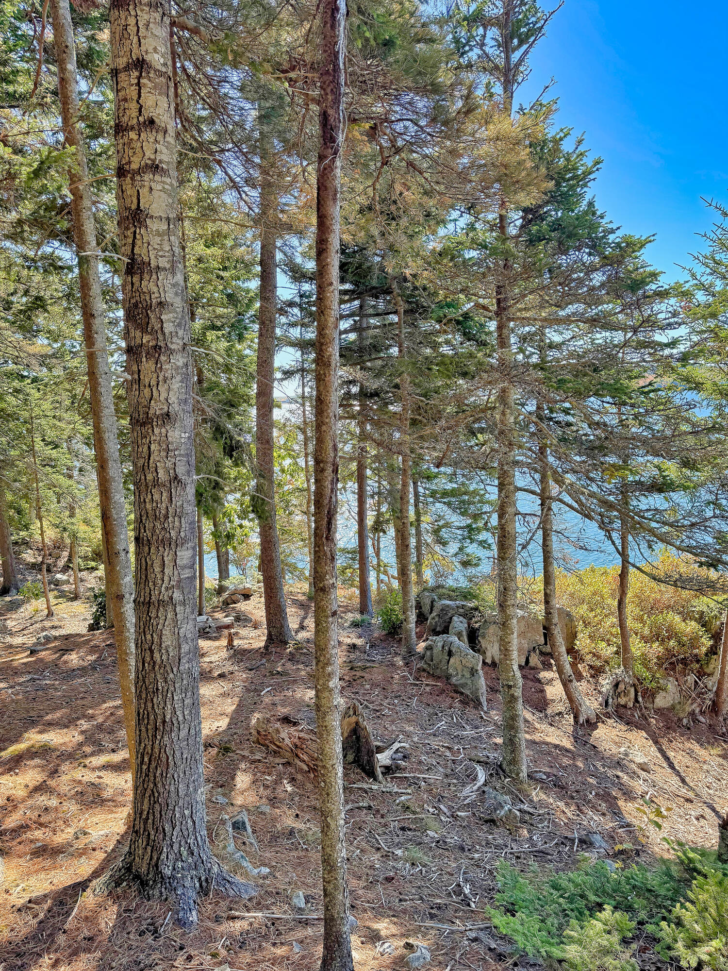 main property photo 18