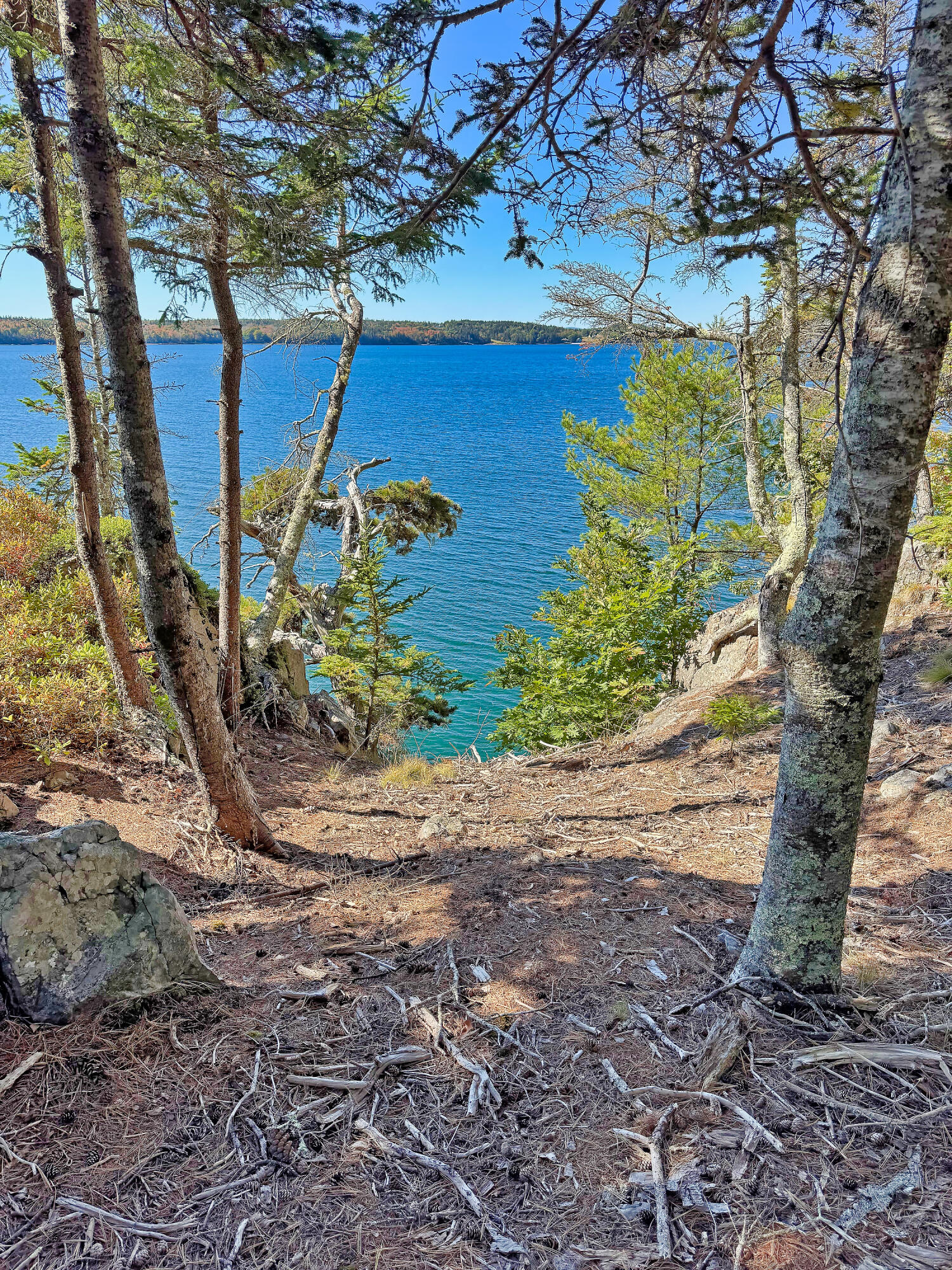 main property photo 19