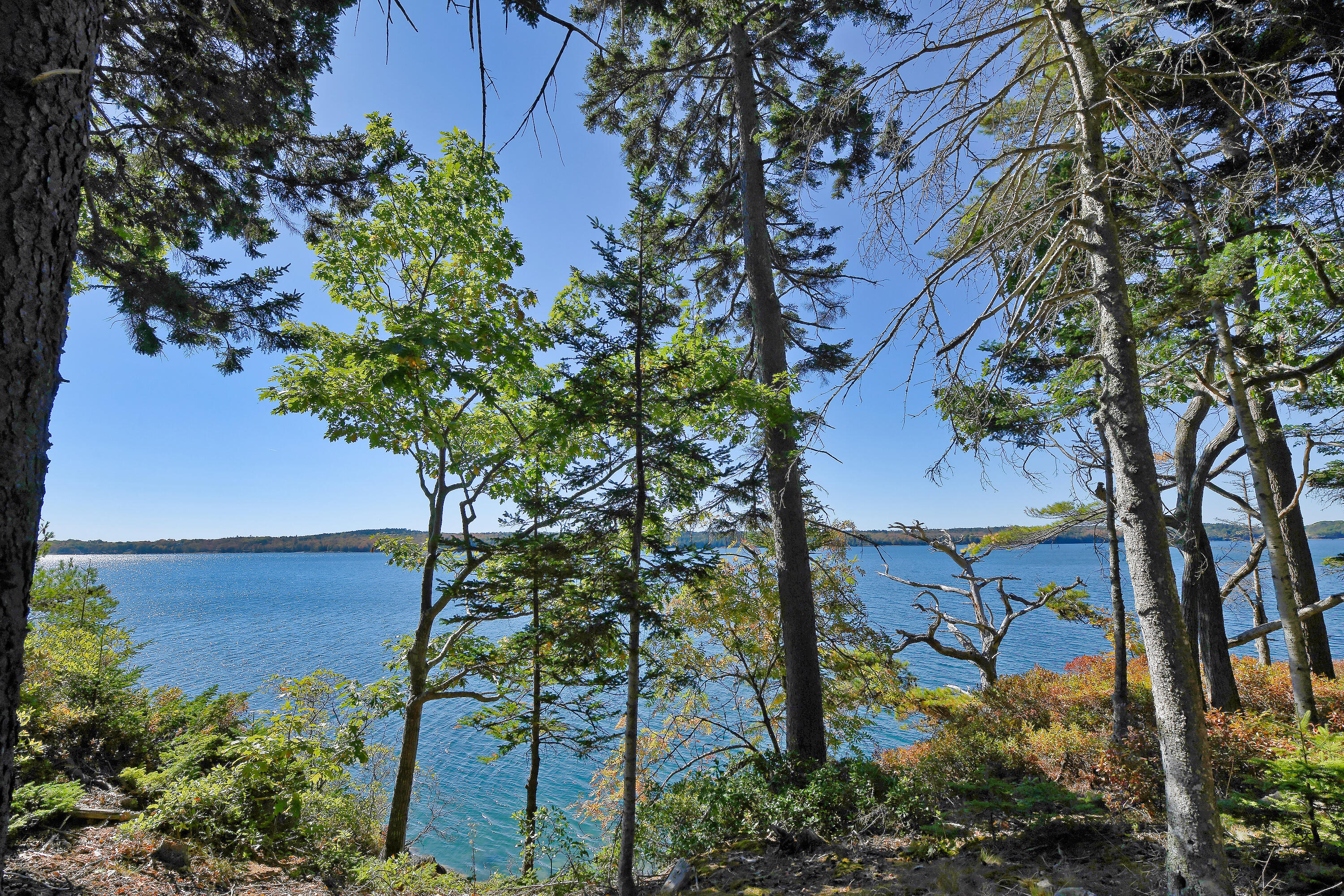 main property photo 22