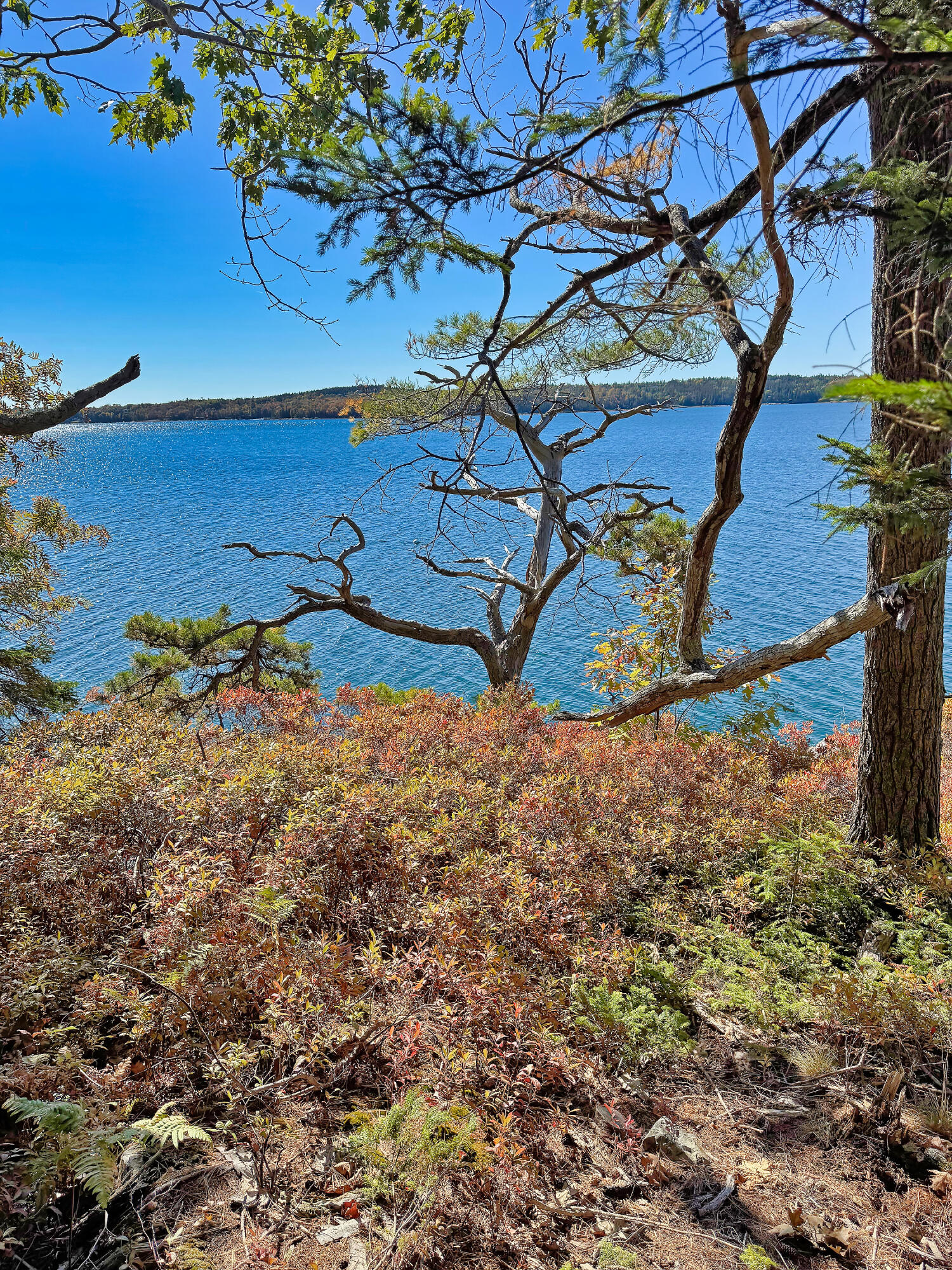 main property photo 23
