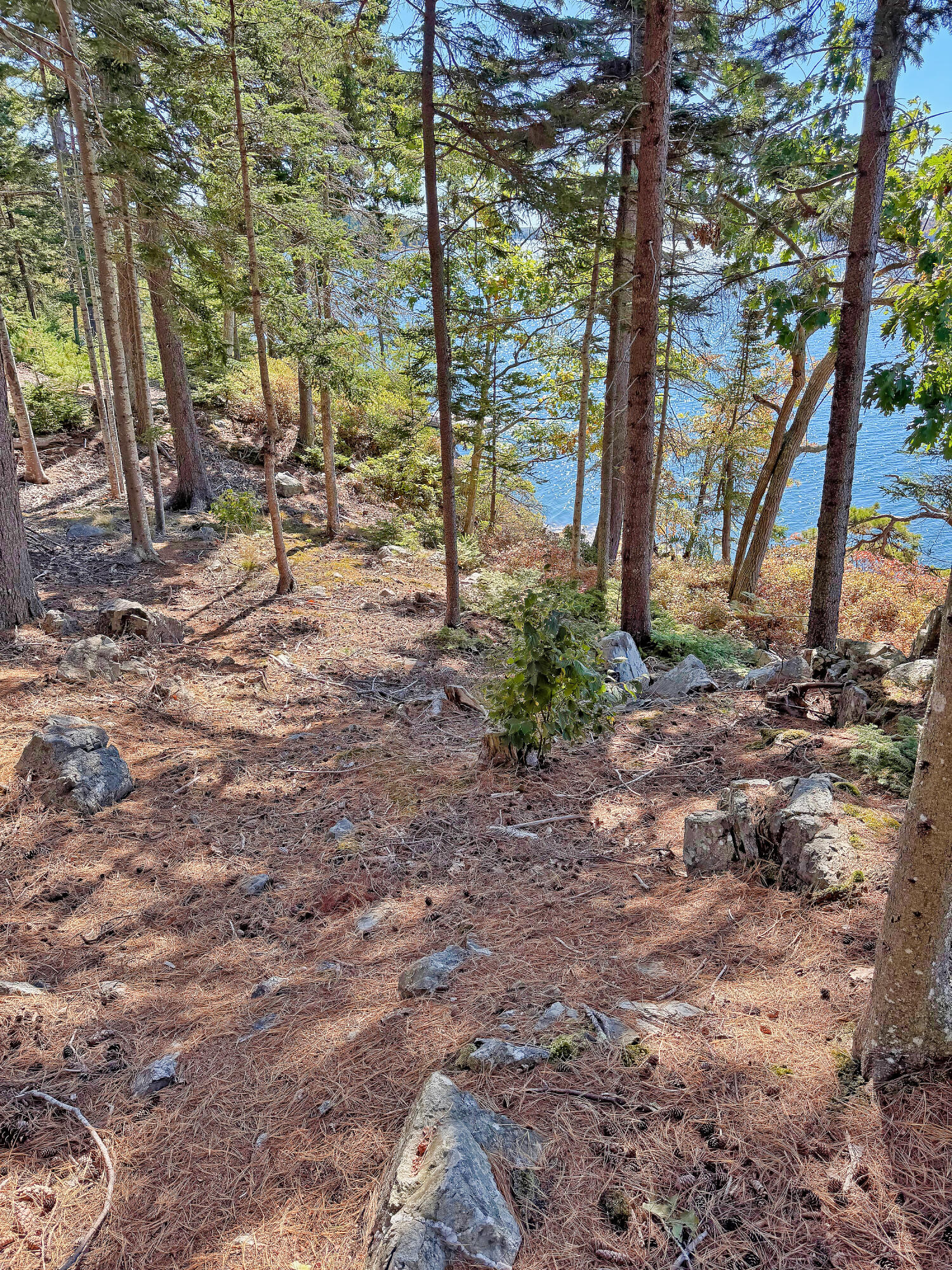 main property photo 24