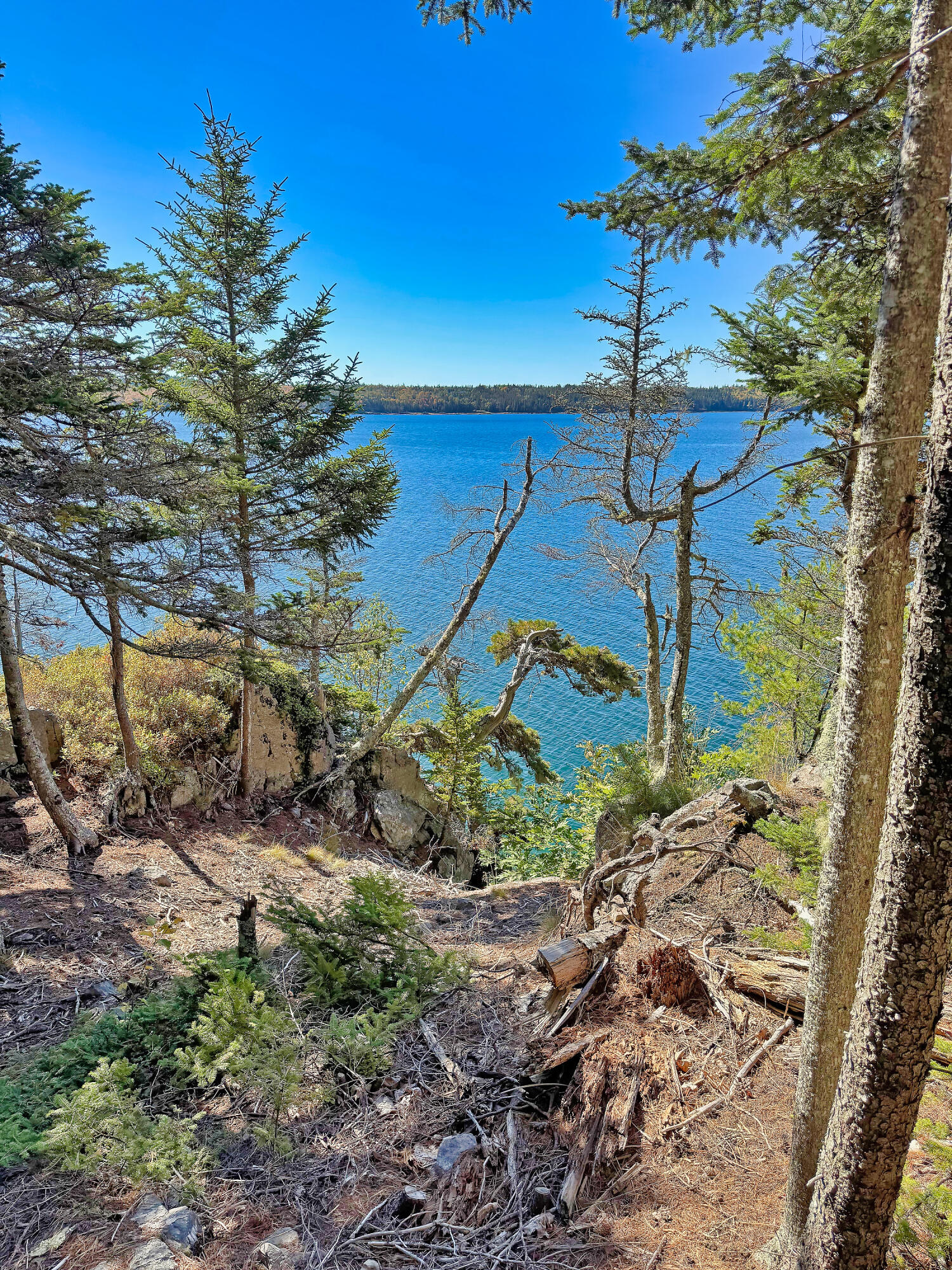 main property photo 25