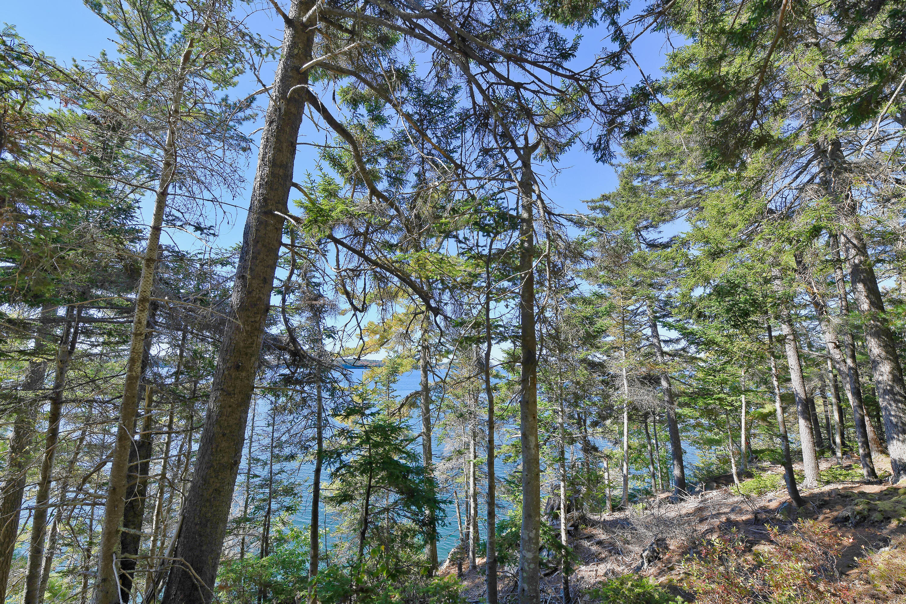 main property photo 29