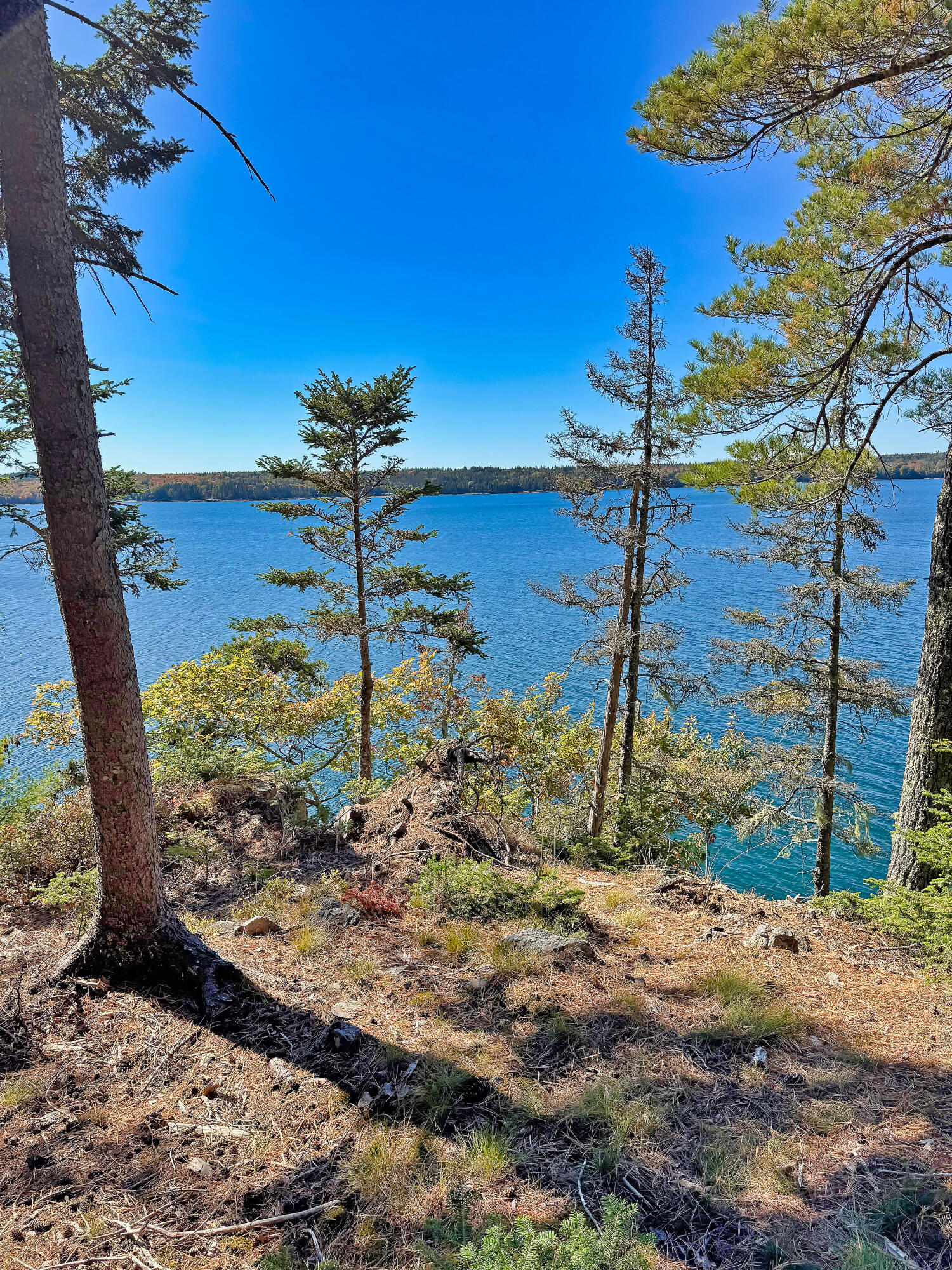 main property photo 30