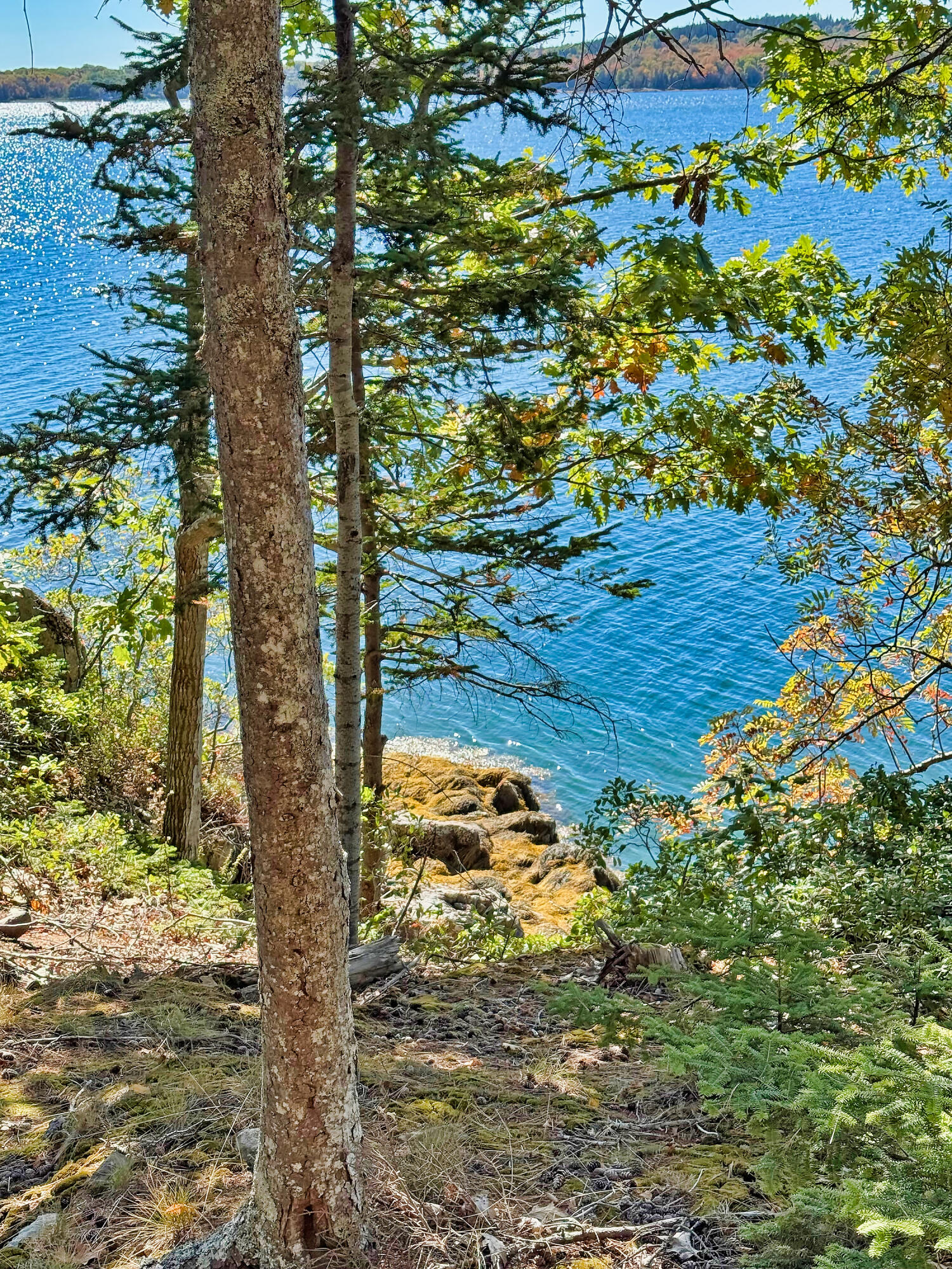 main property photo 31
