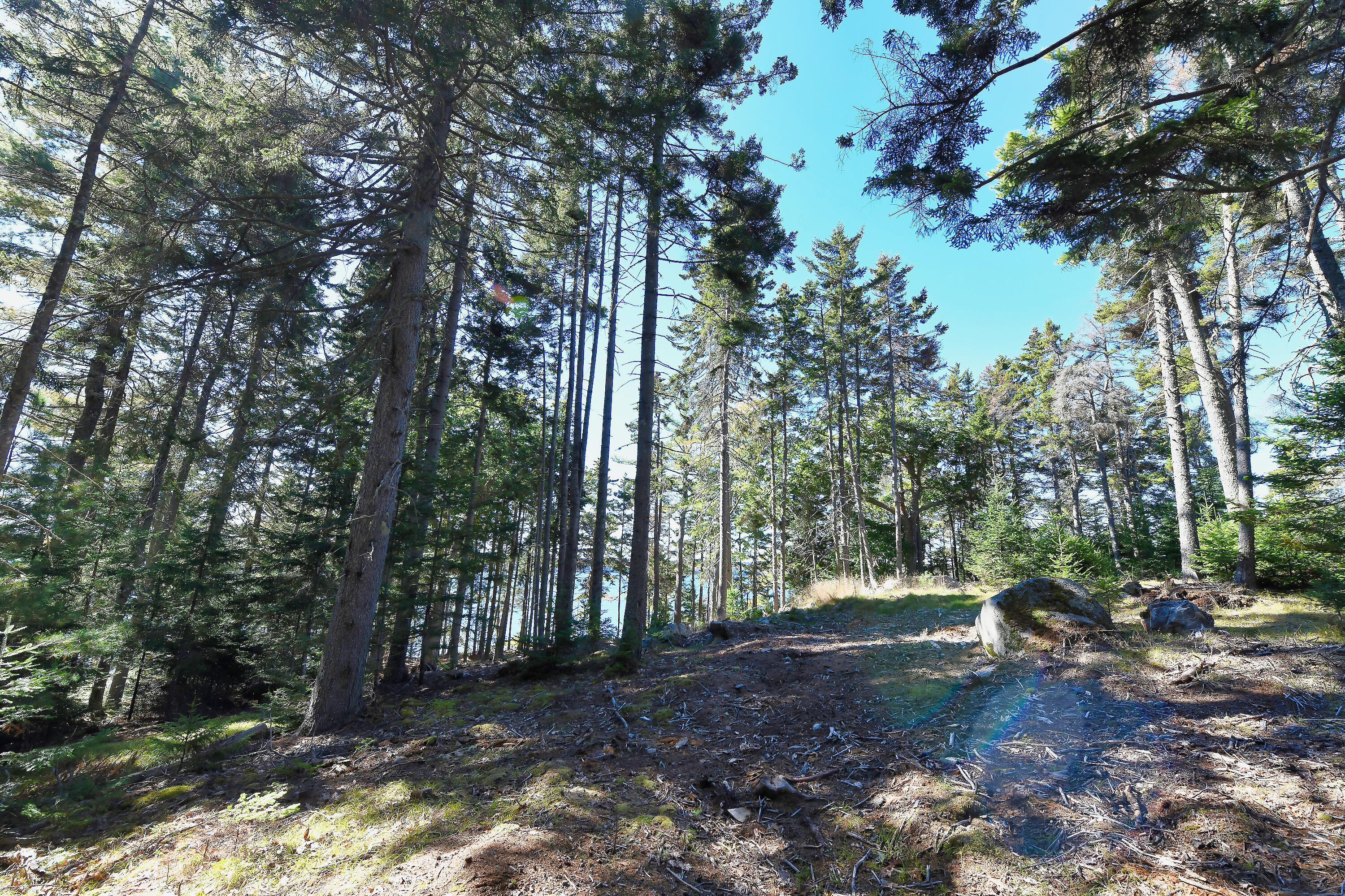 main property photo 33