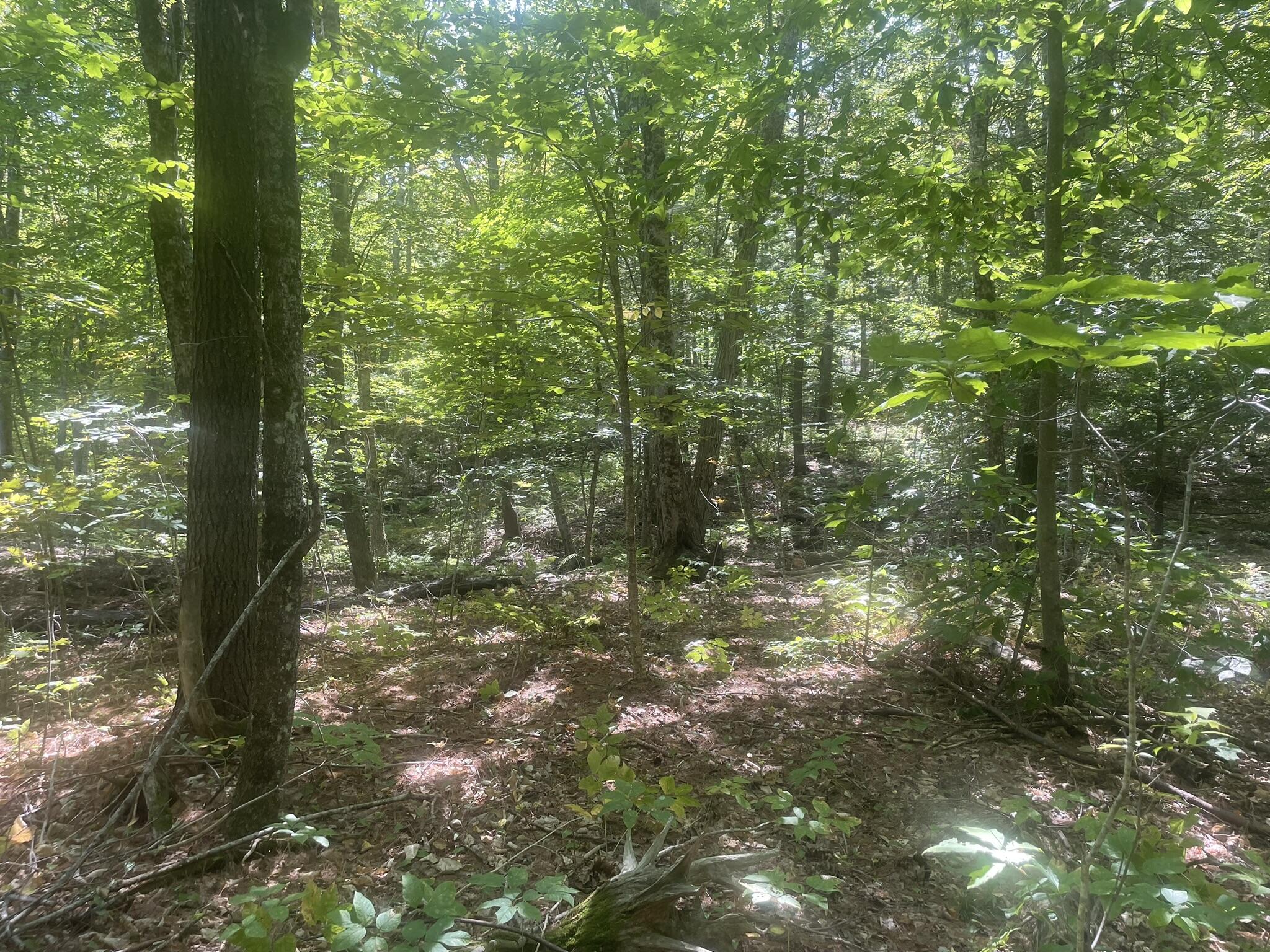 main property photo 20