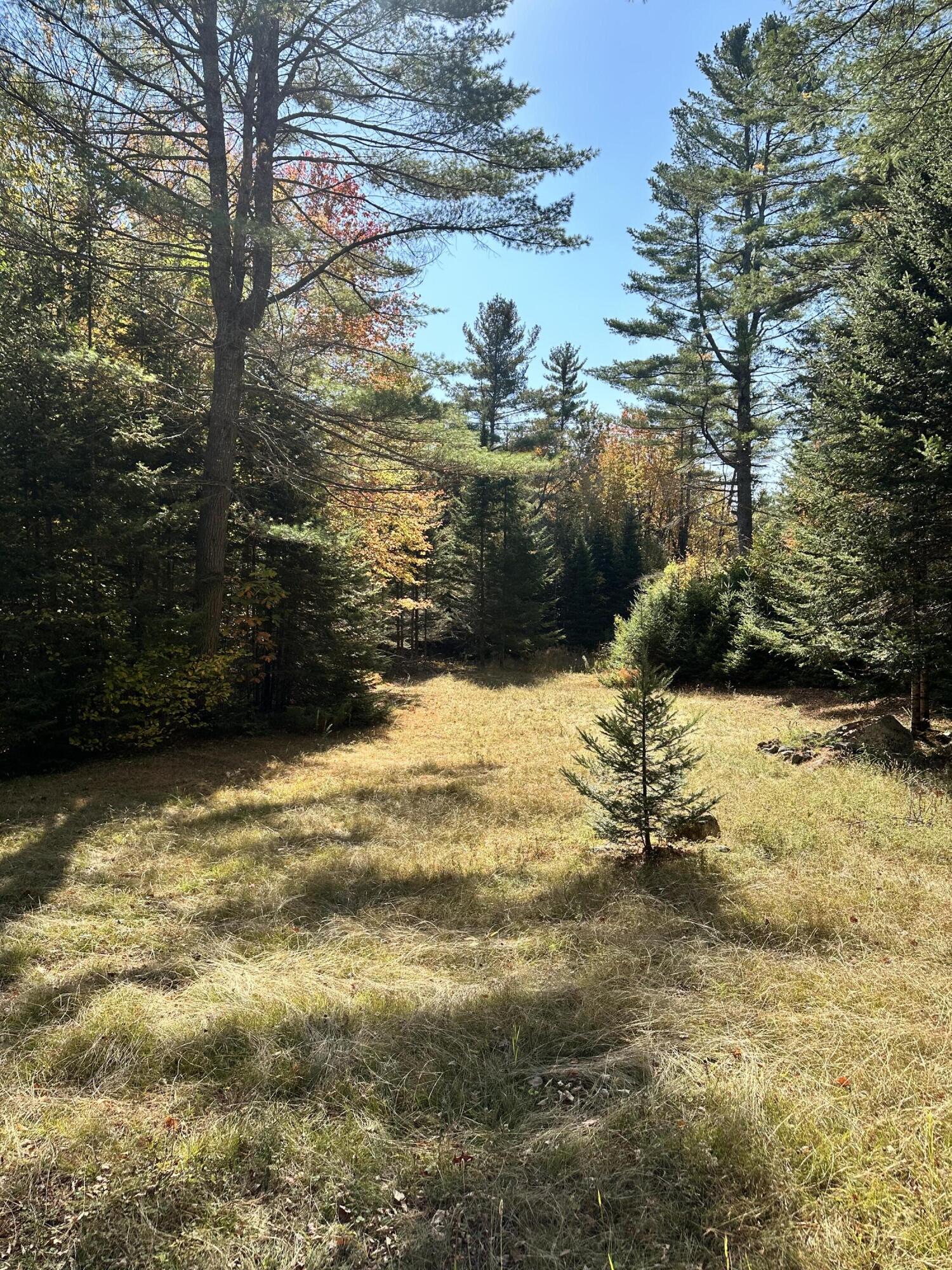 main property photo 19