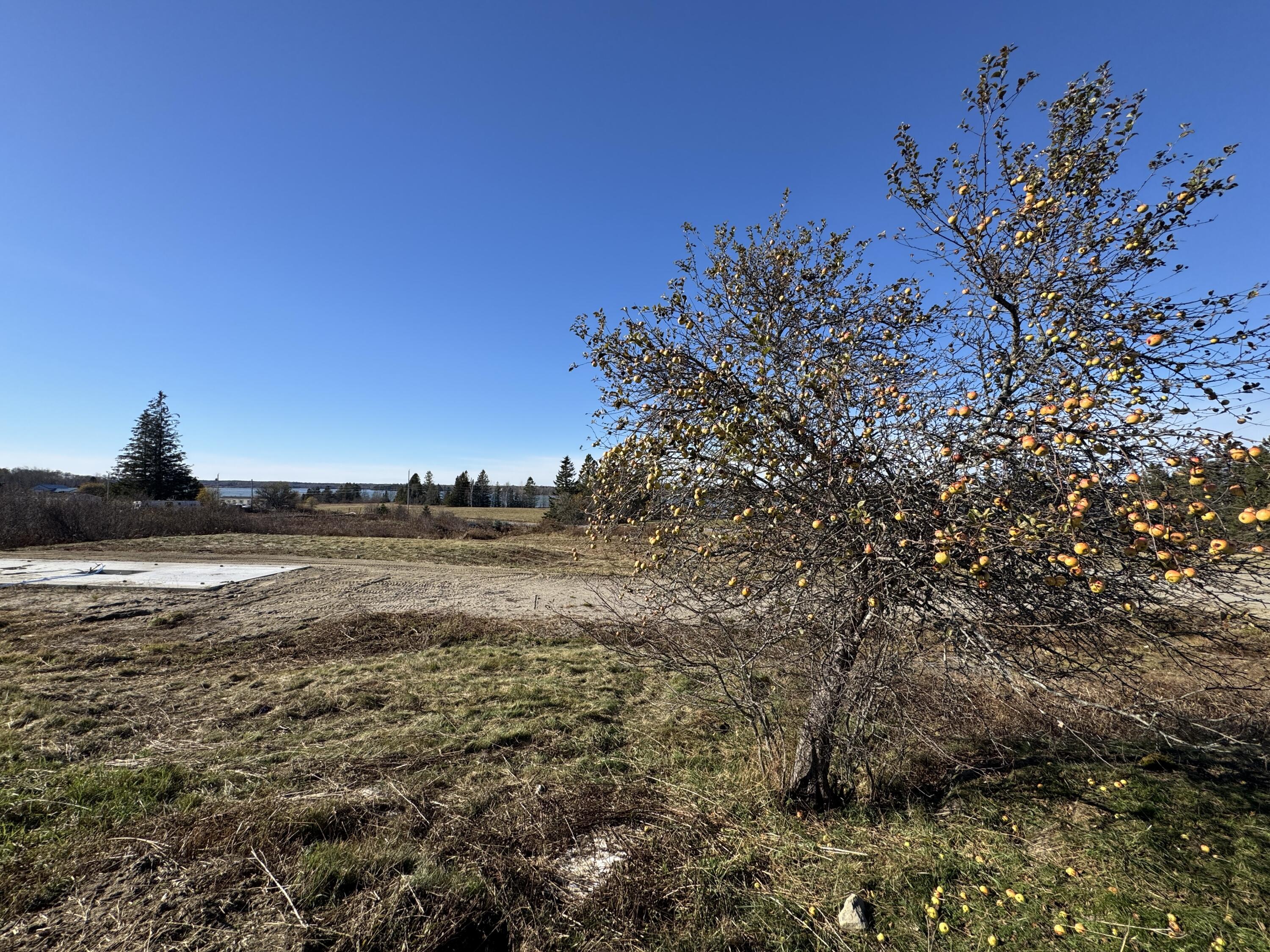 main property photo 7
