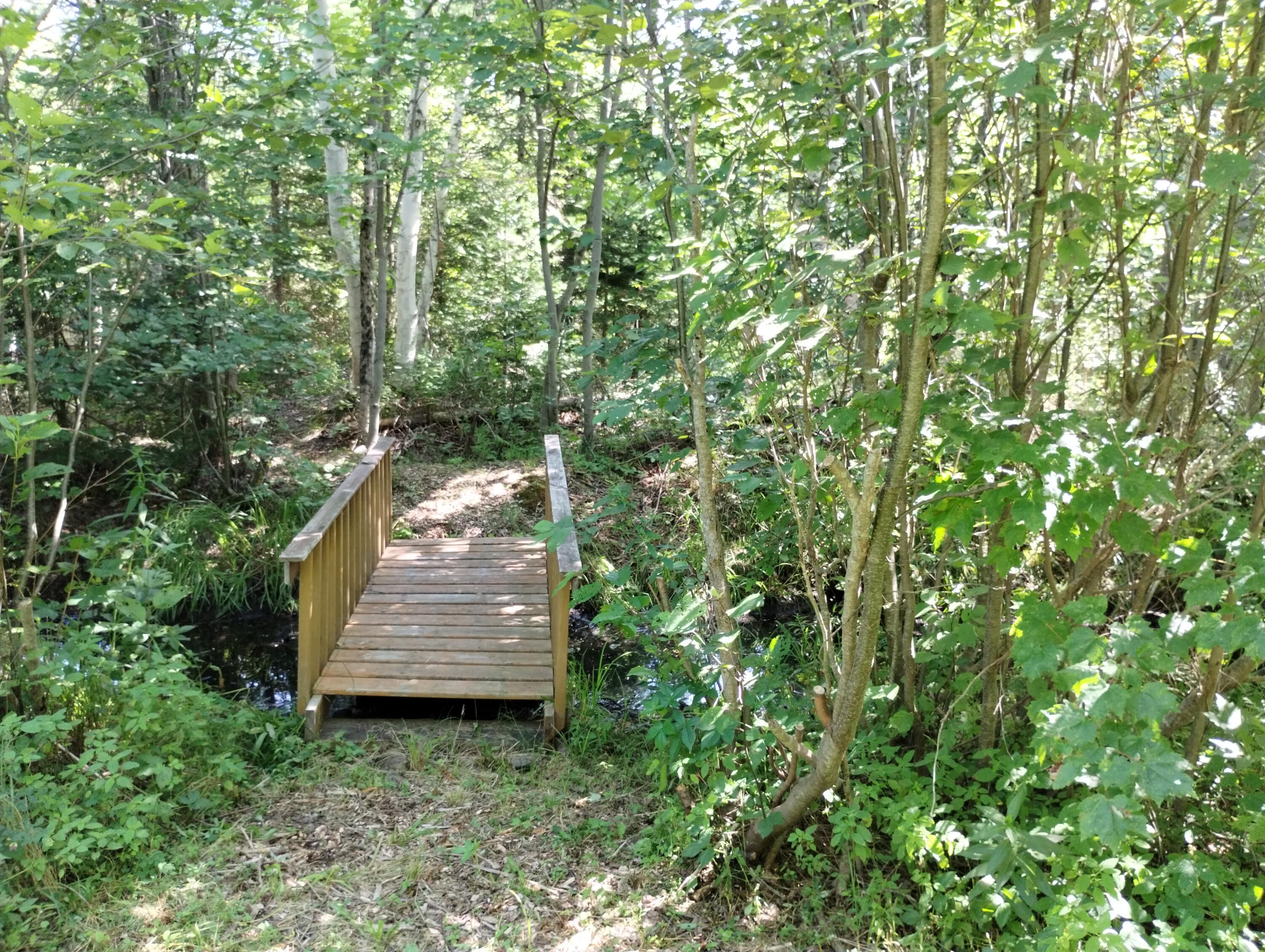 main property photo 74