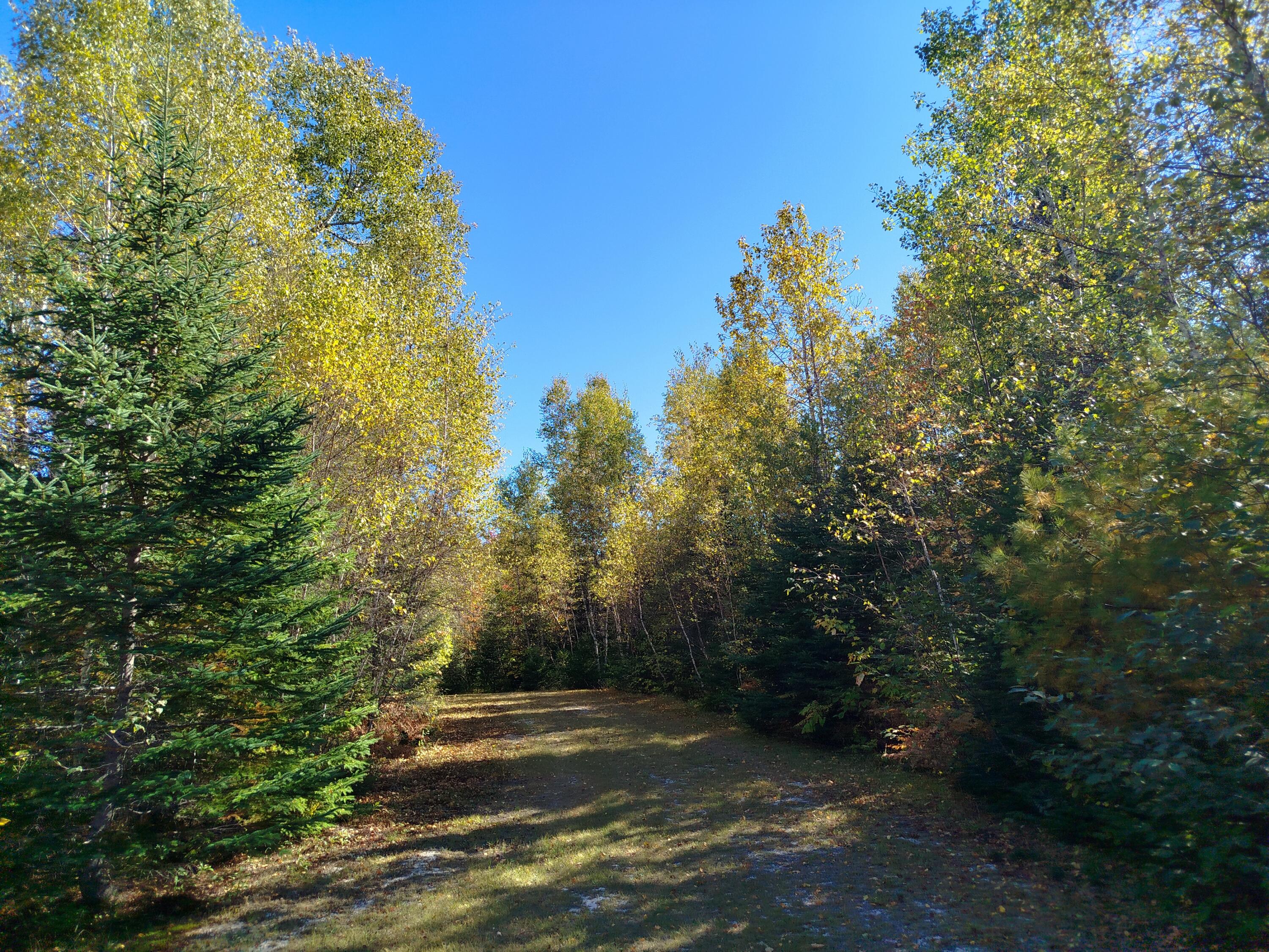 main property photo 95
