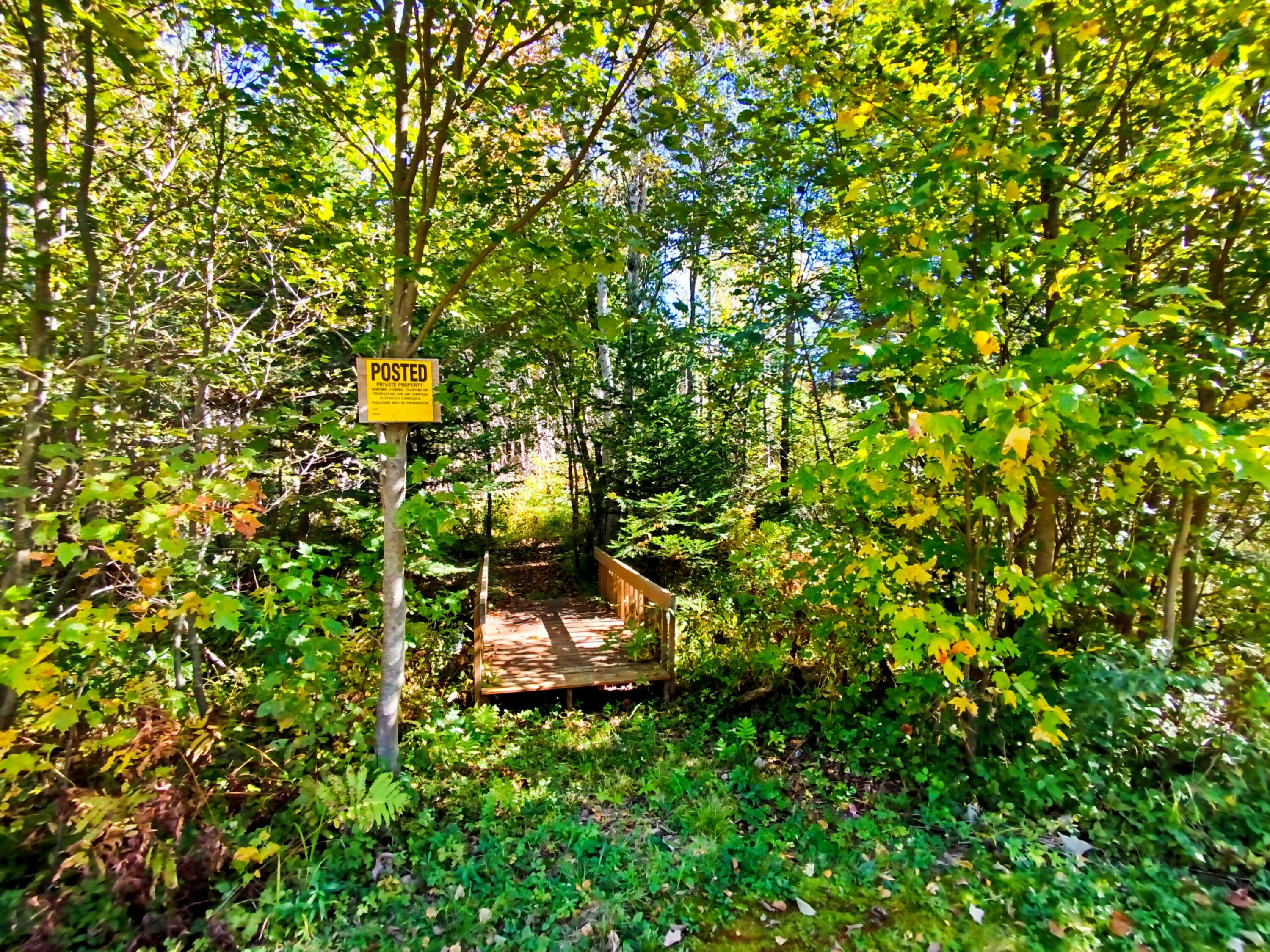 main property photo 98