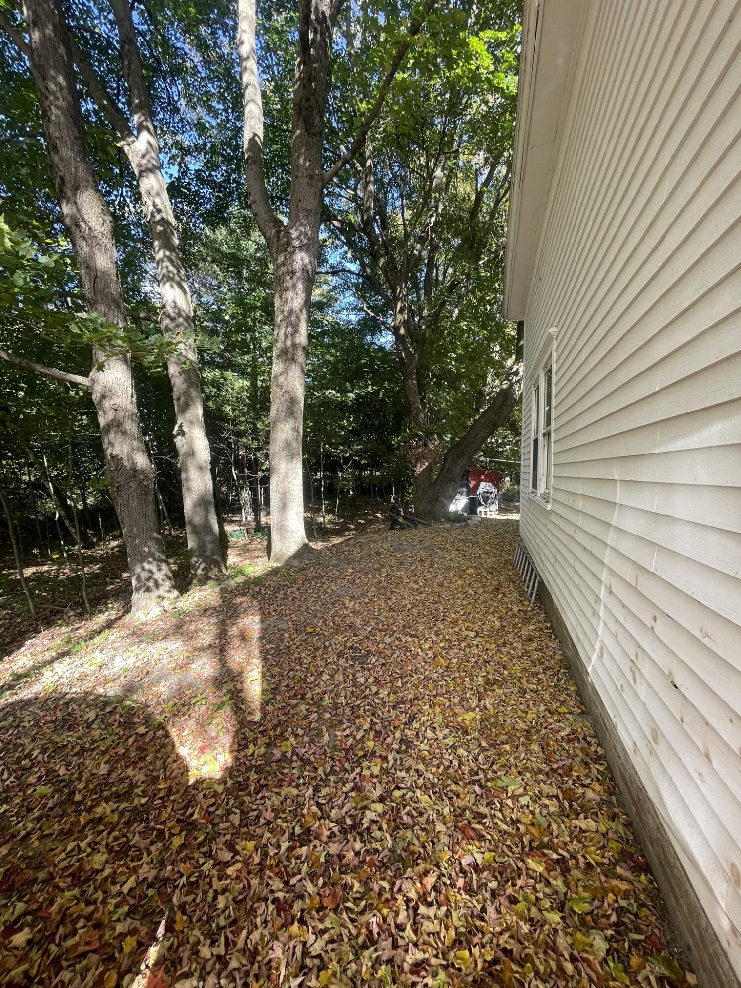 main property photo 98
