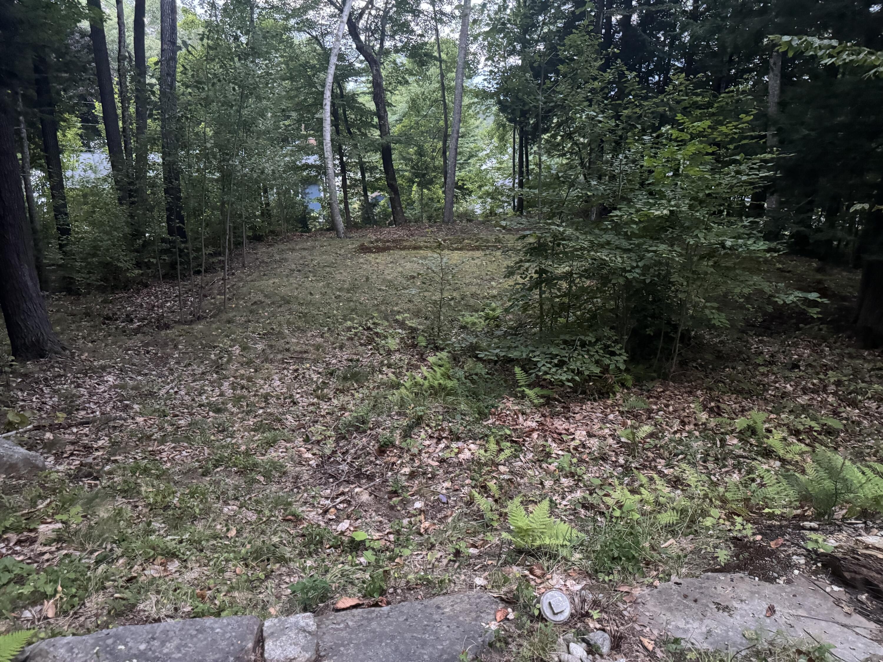 main property photo 38