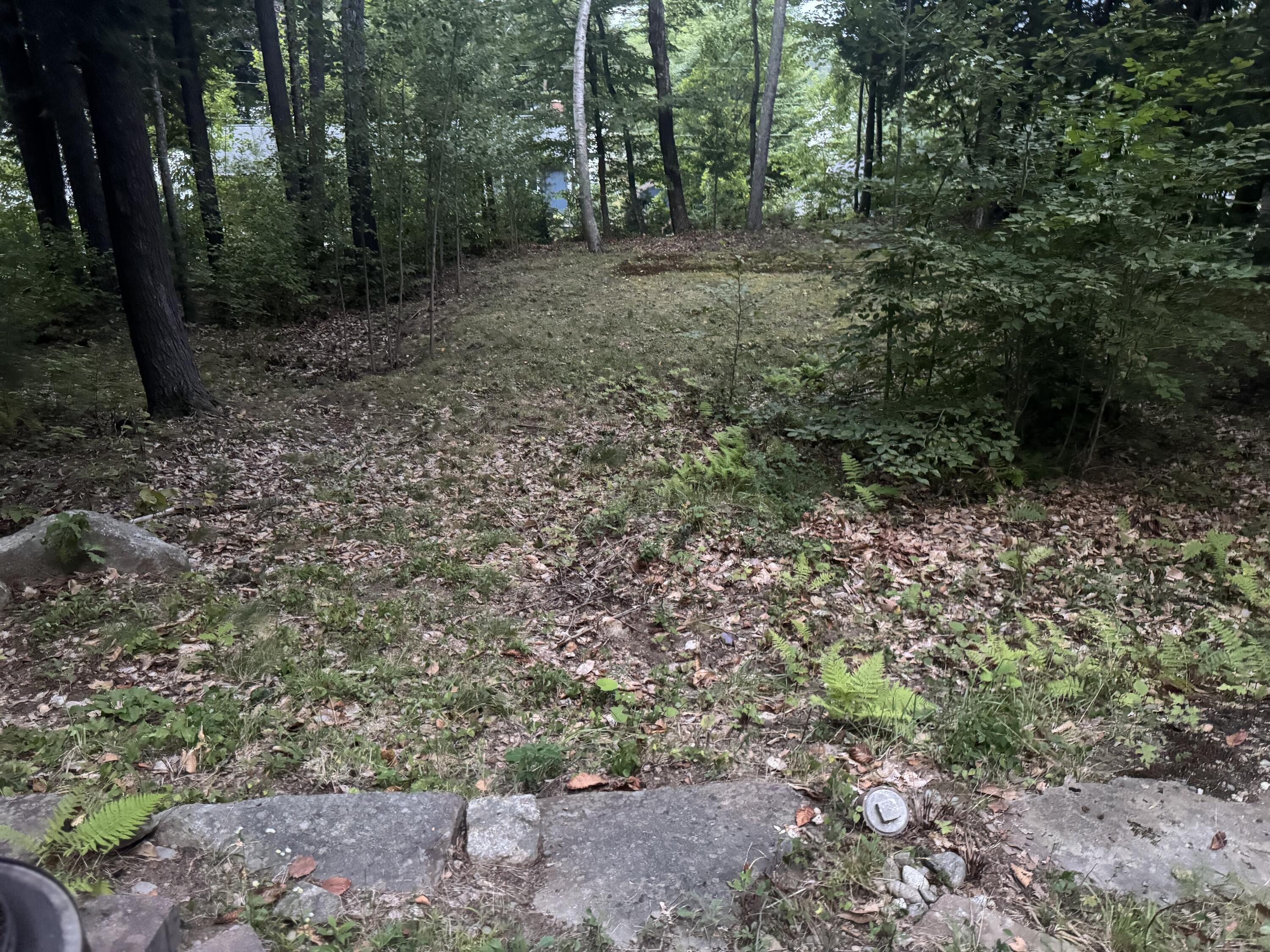 main property photo 39