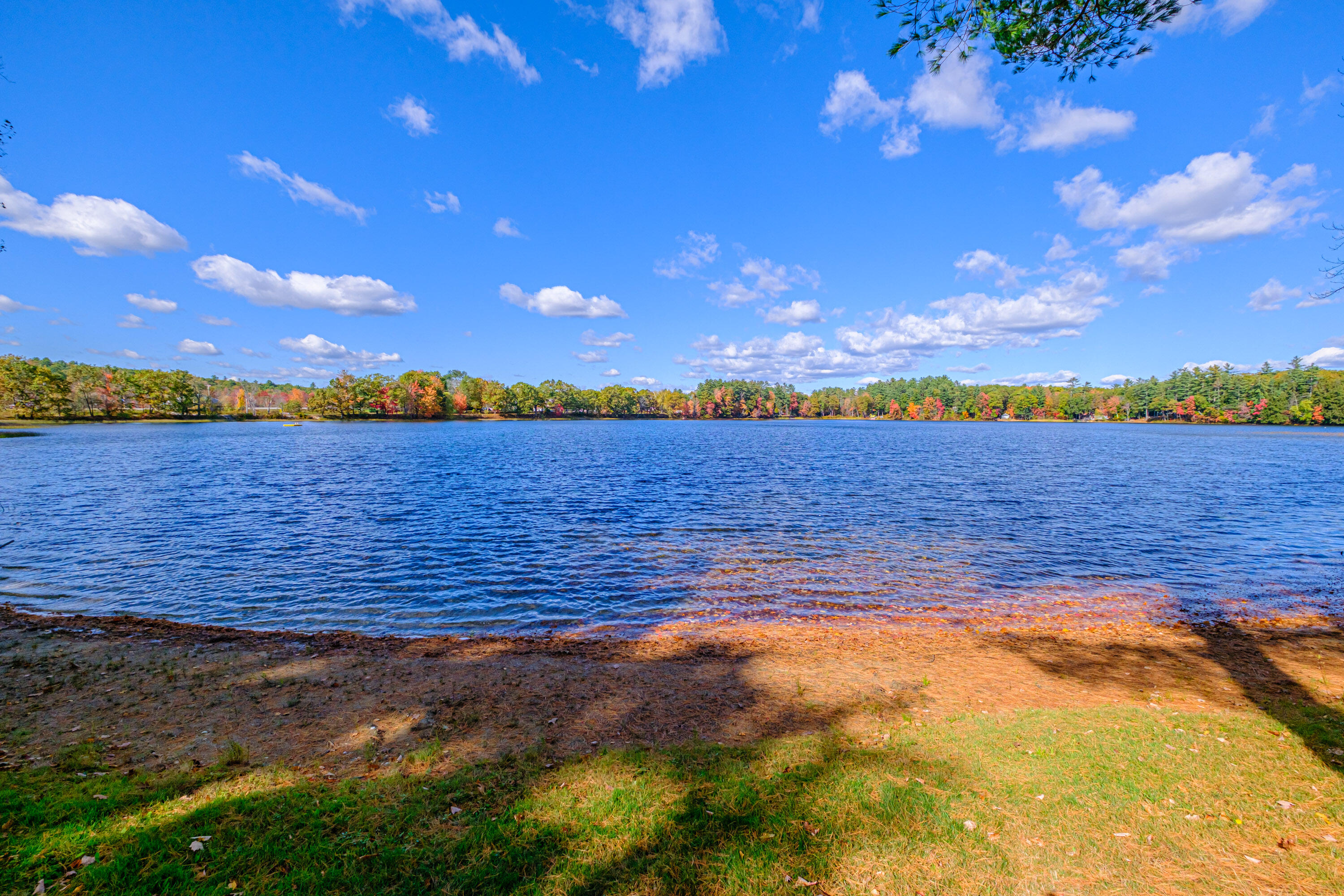 main property photo 55