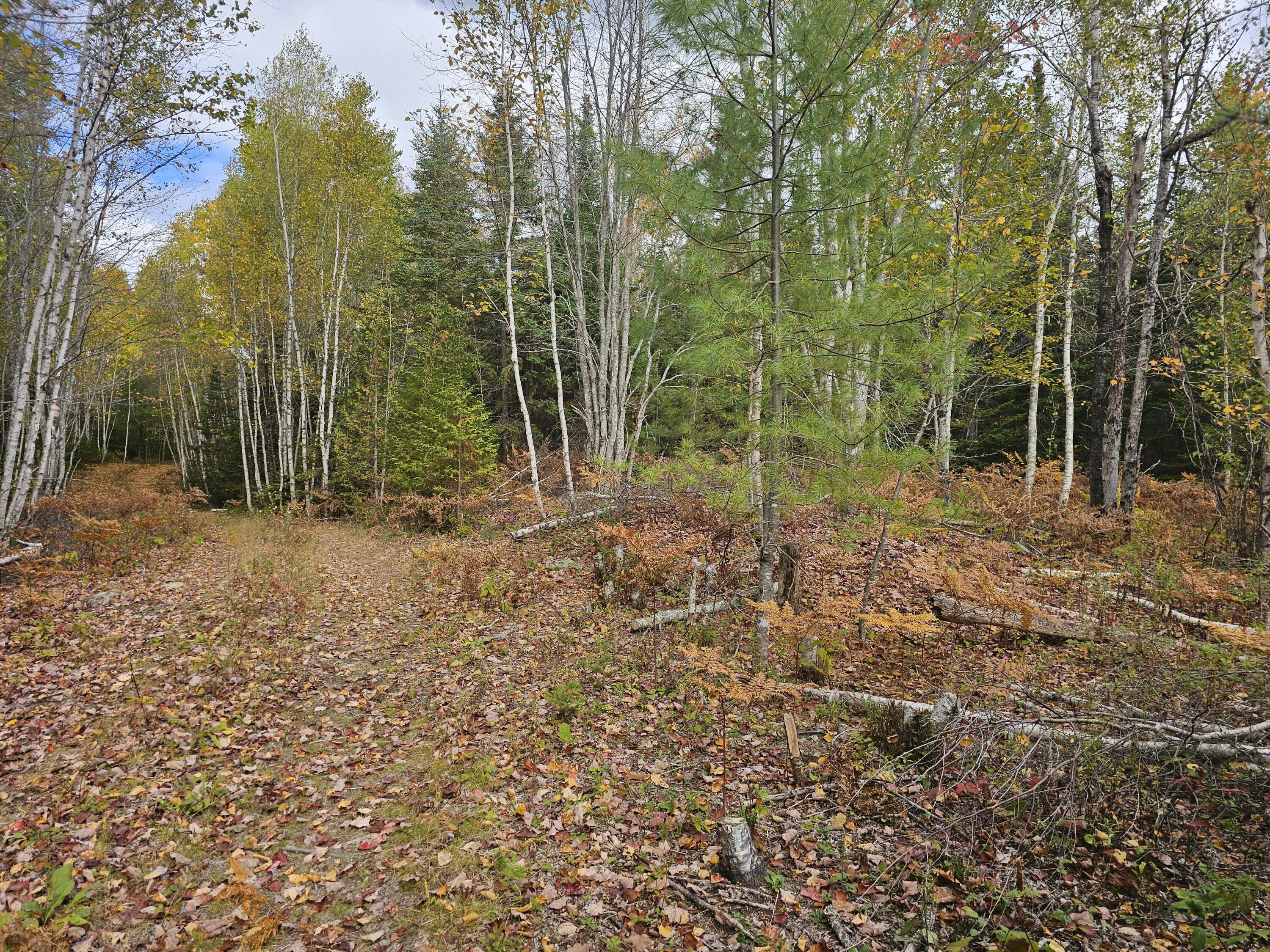main property photo 13