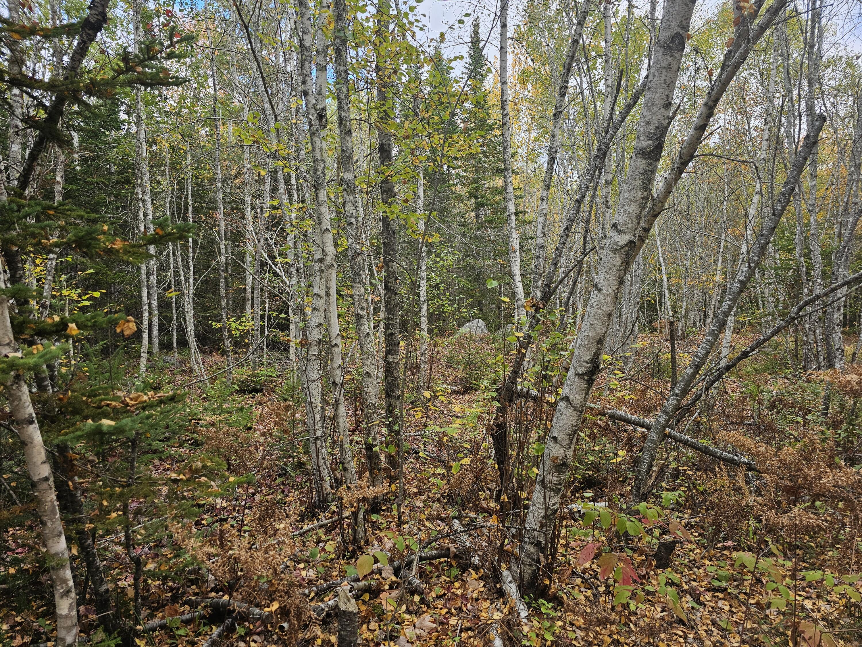 main property photo 16