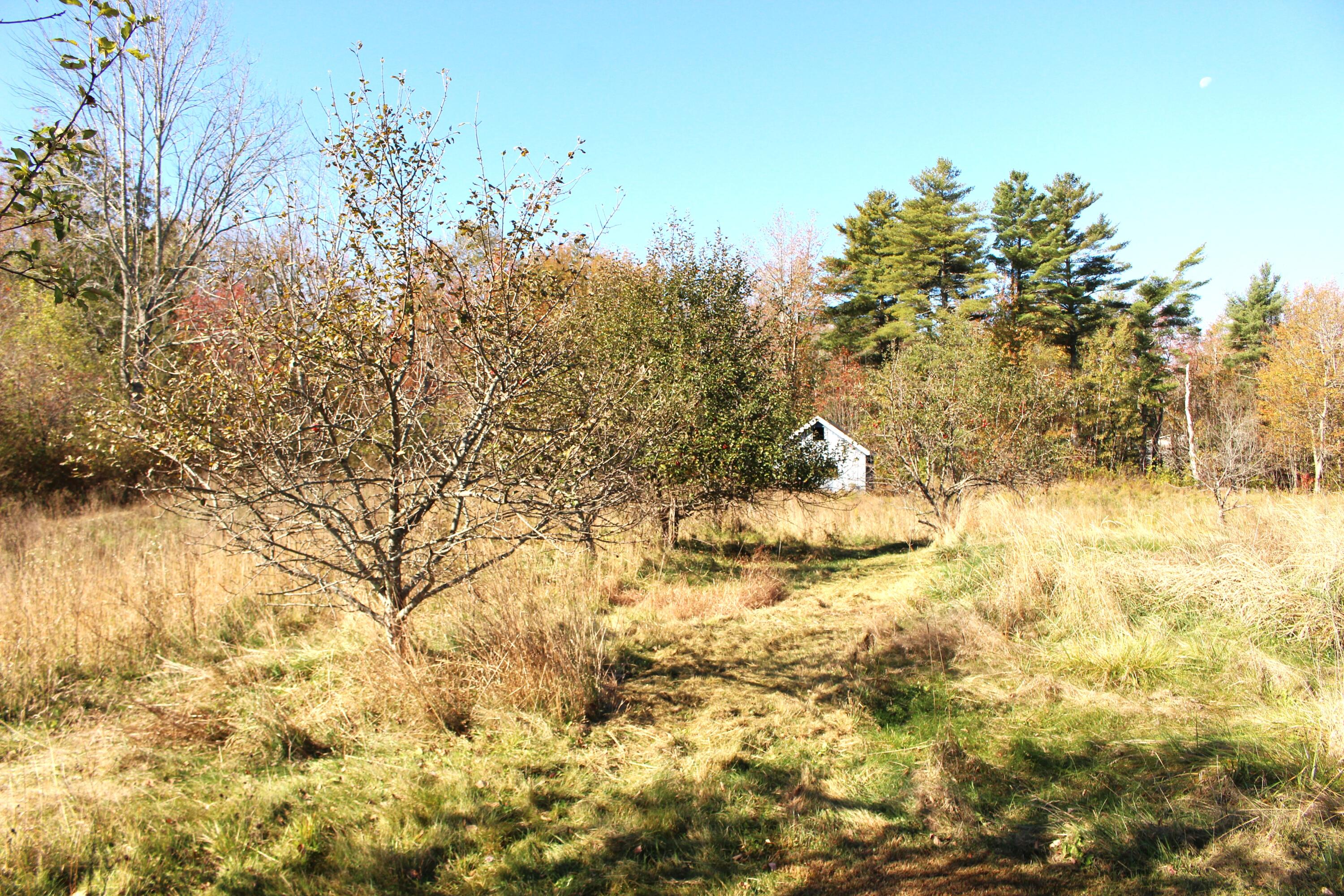 property viewer photo 26