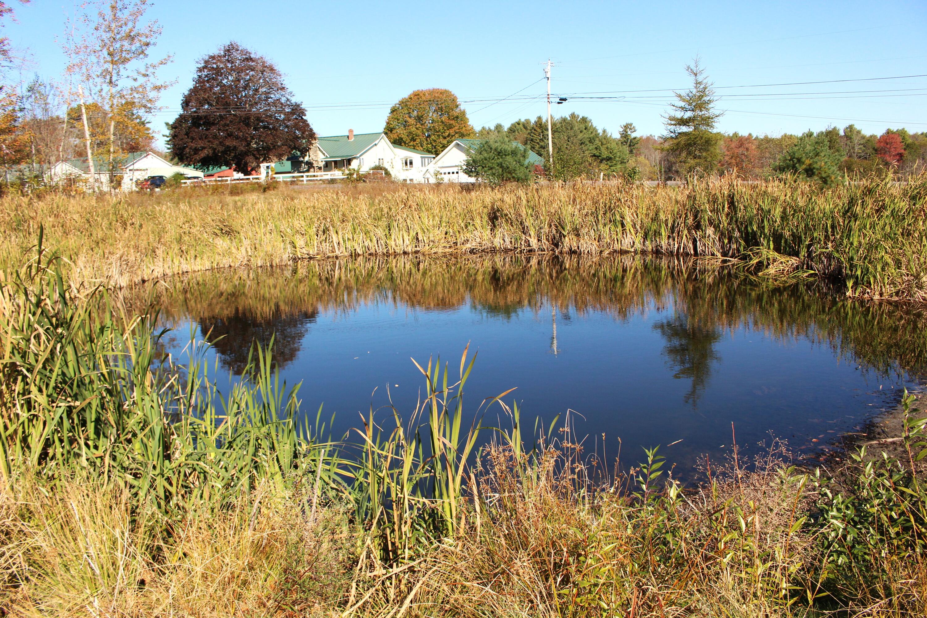 property viewer photo 30