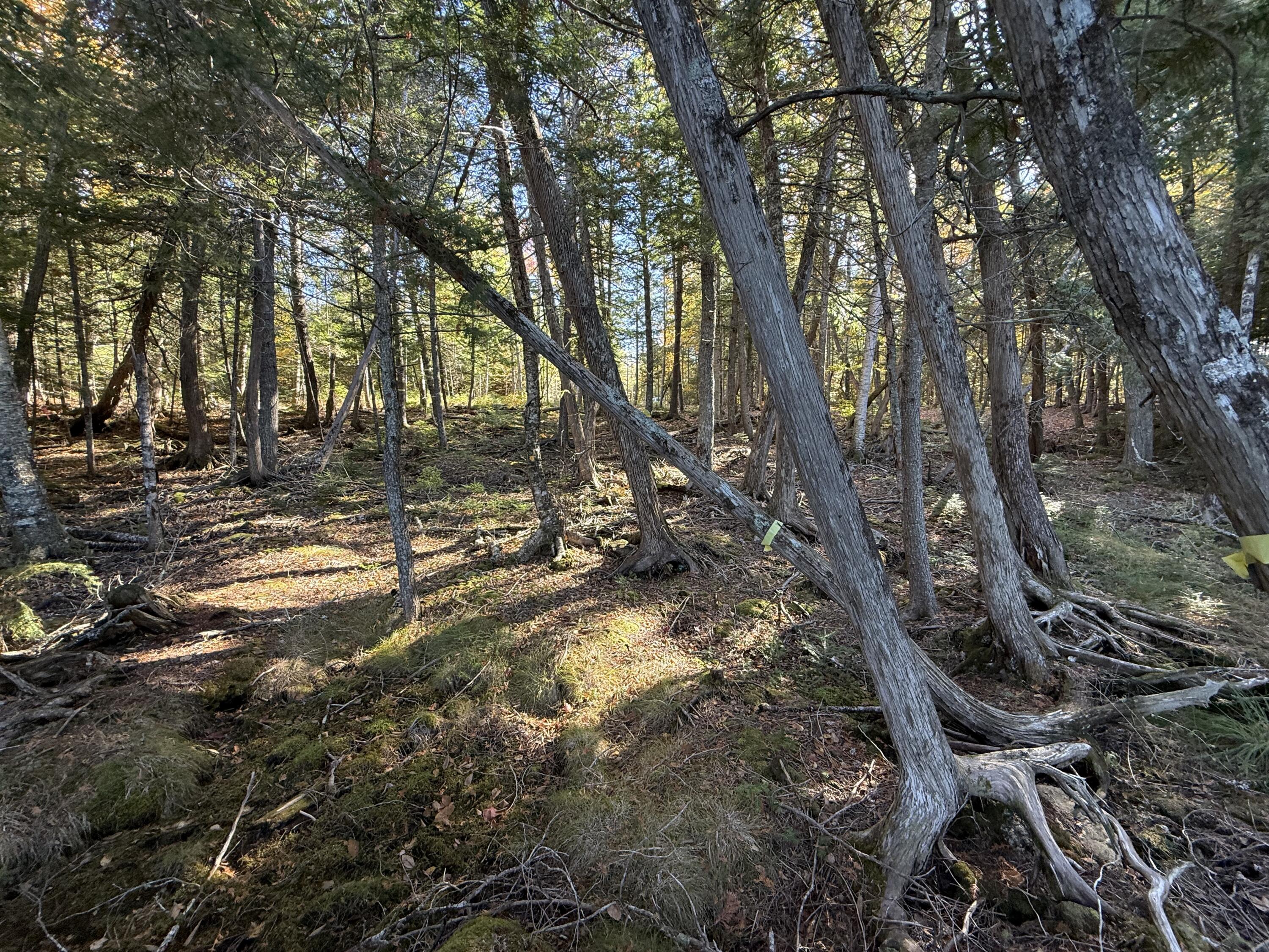 main property photo 14