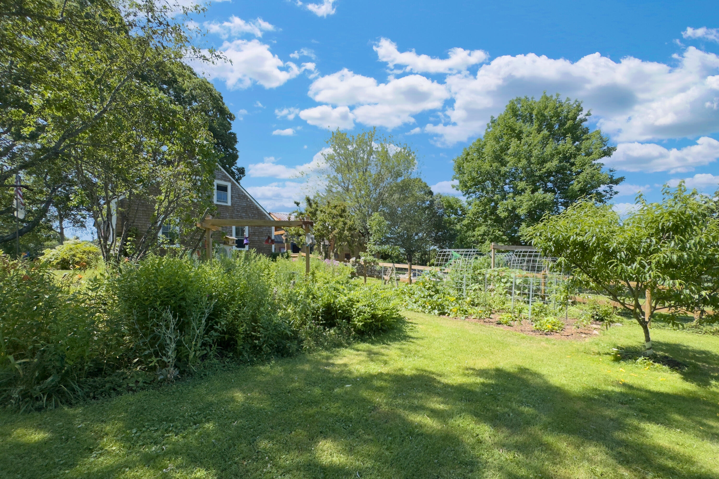 main property photo 48
