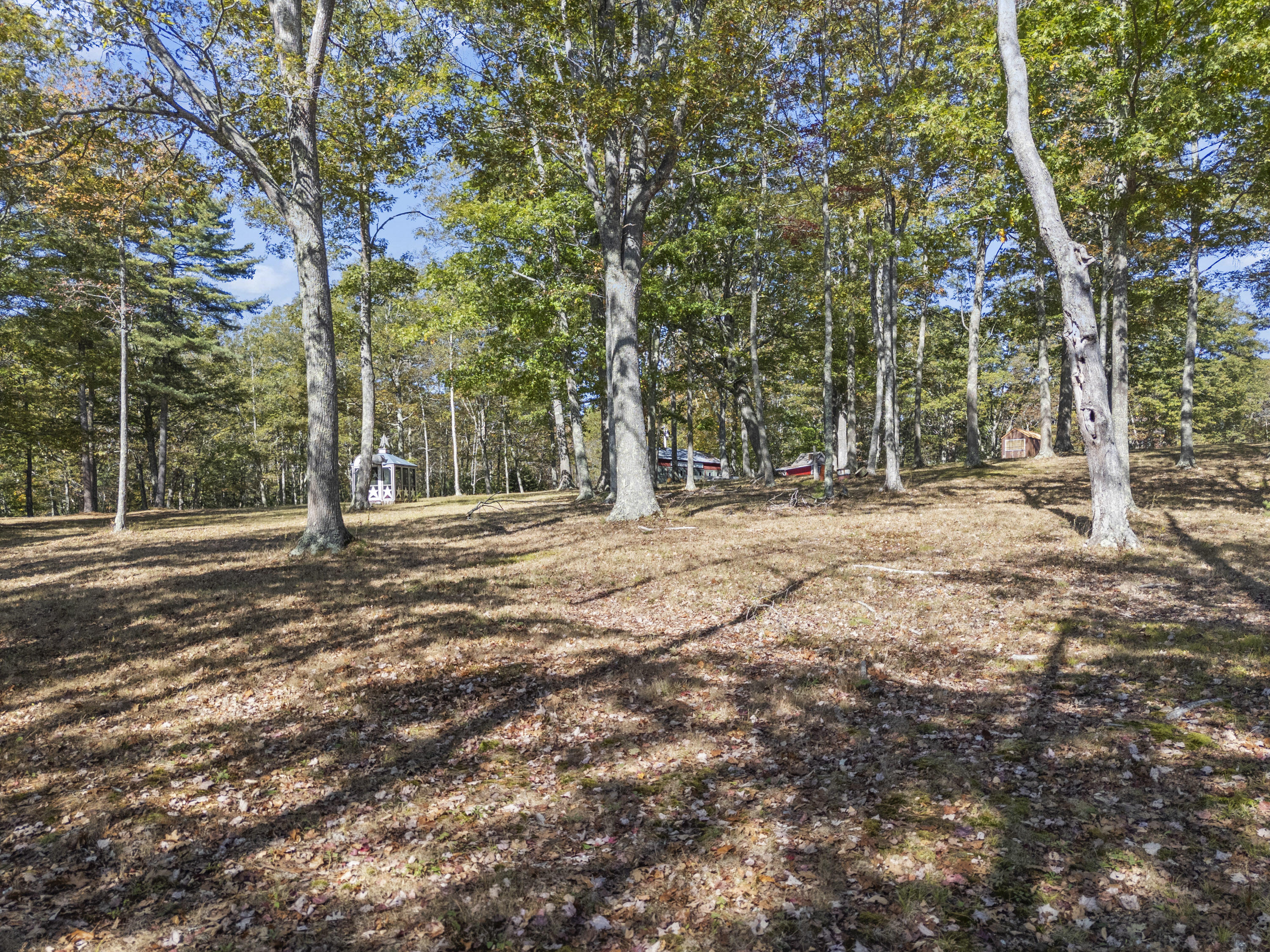 property viewer photo 66