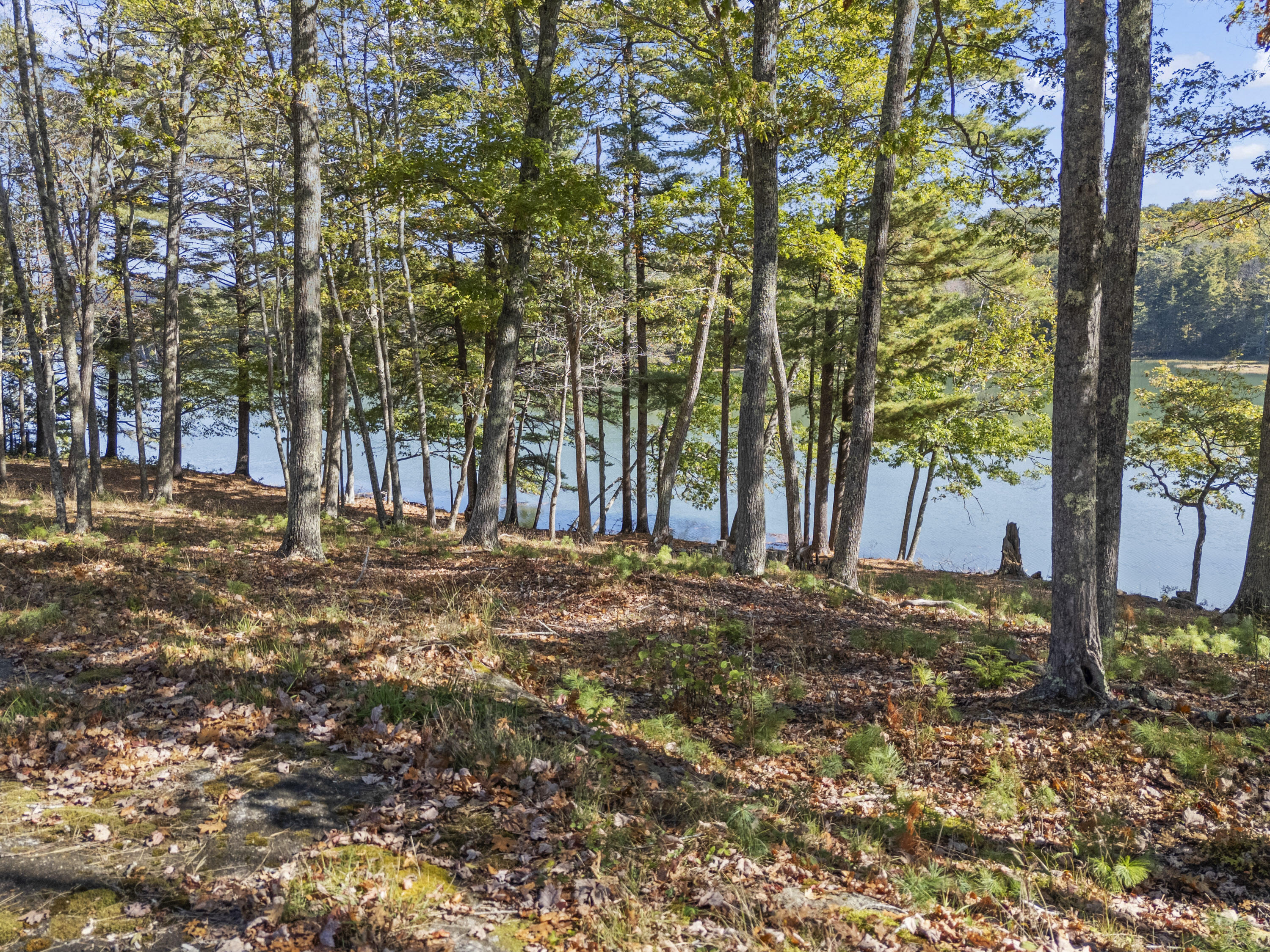 property viewer photo 68