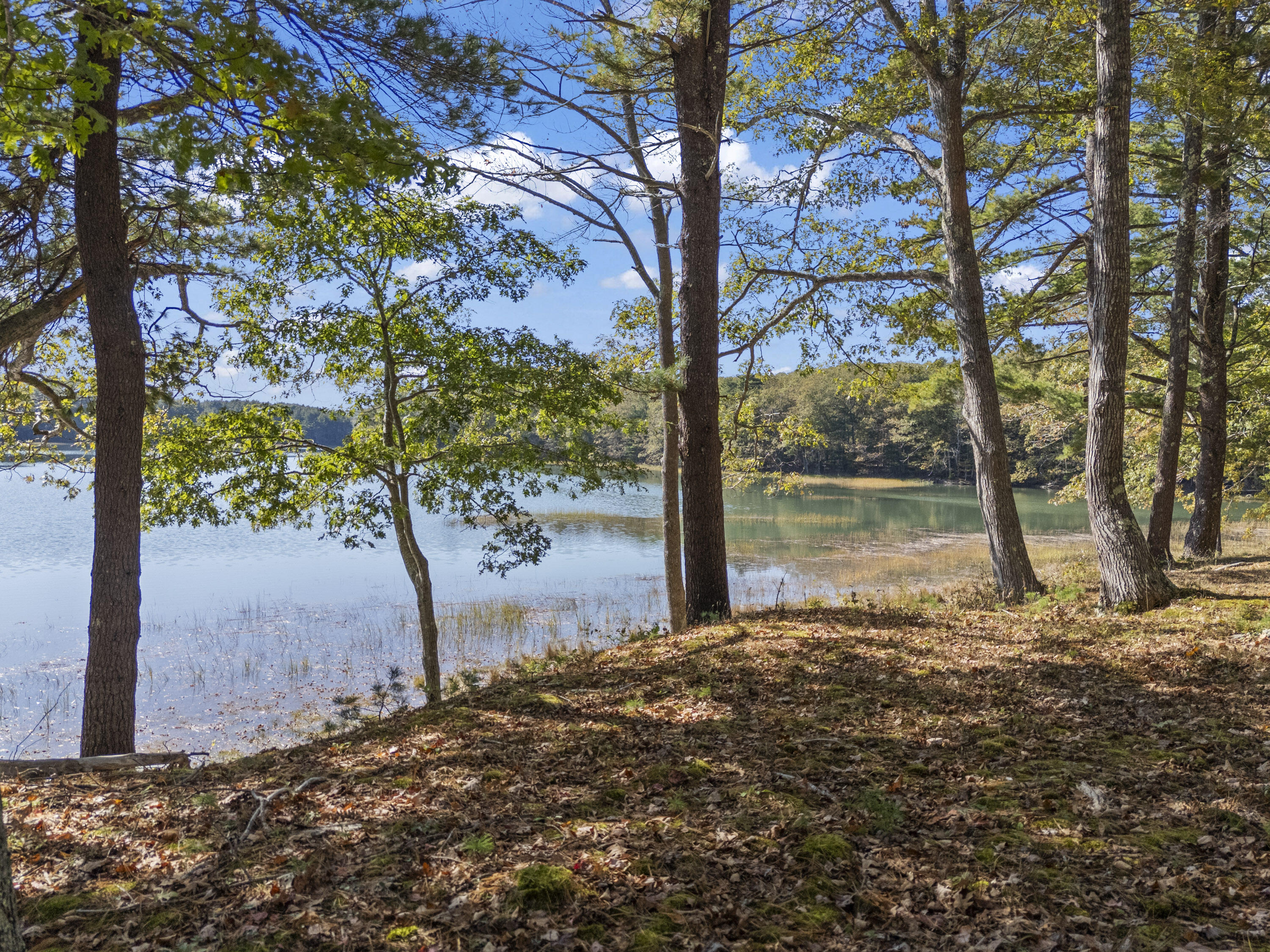 property viewer photo 70