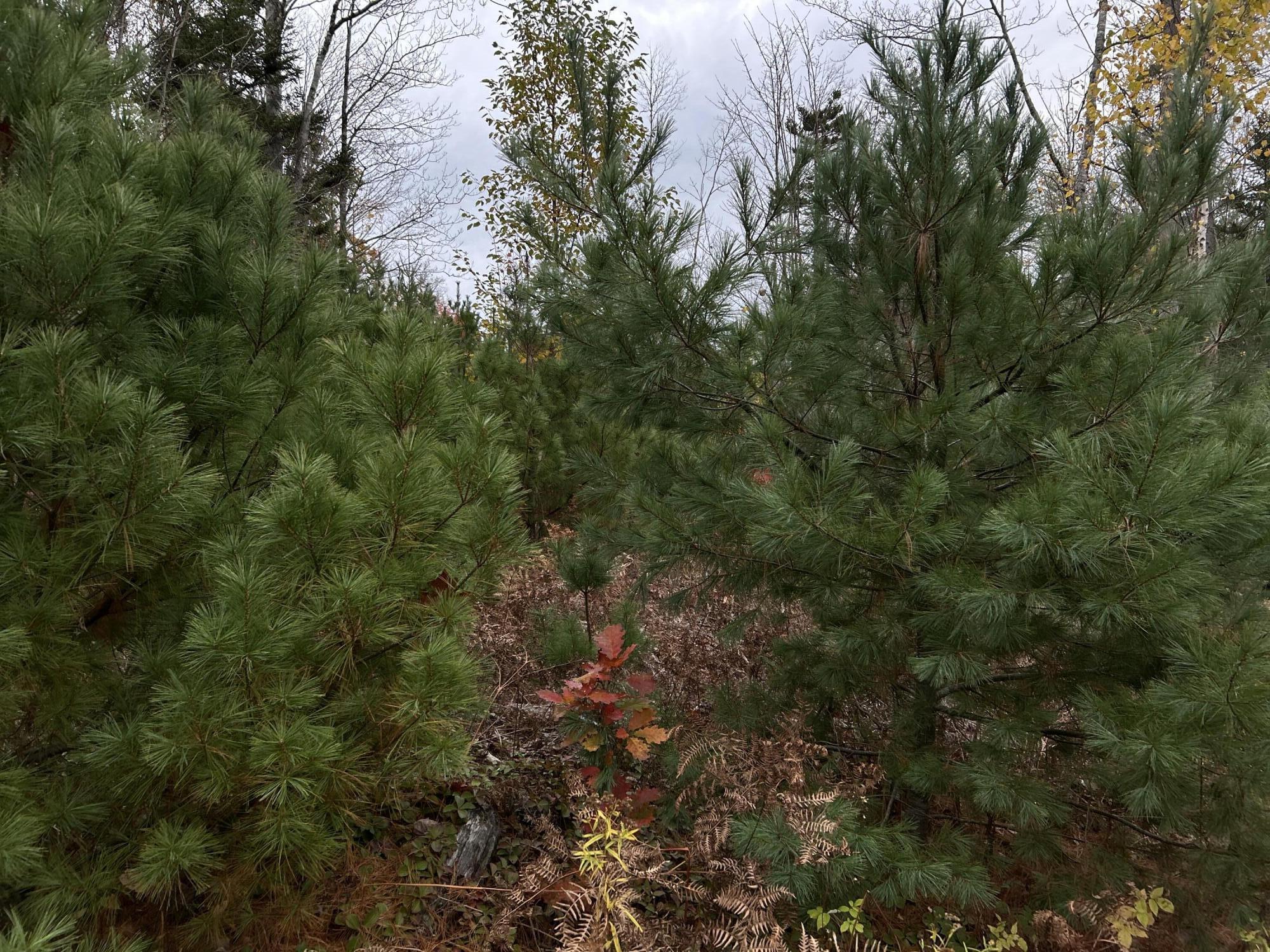 main property photo 11