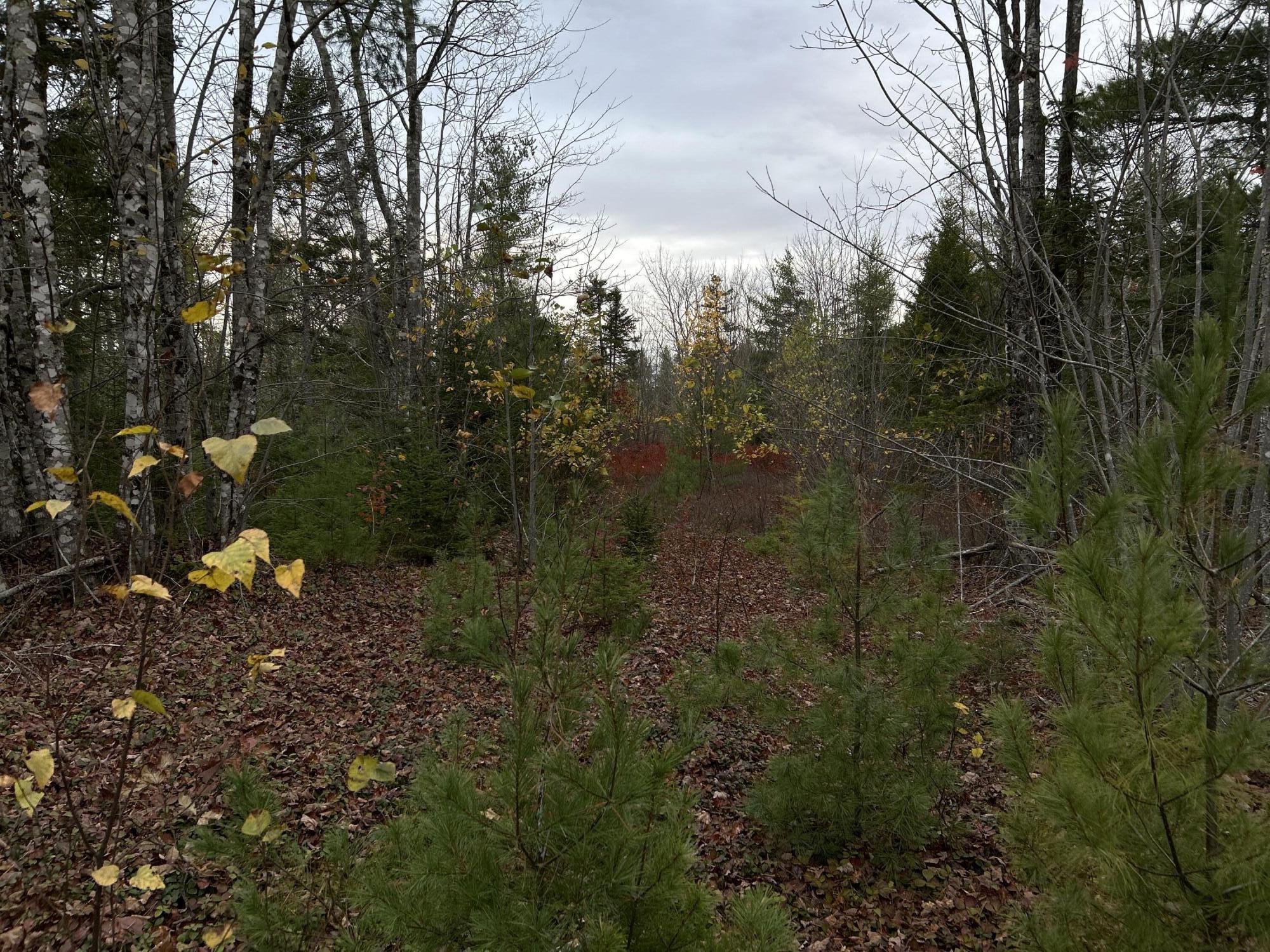 main property photo 28